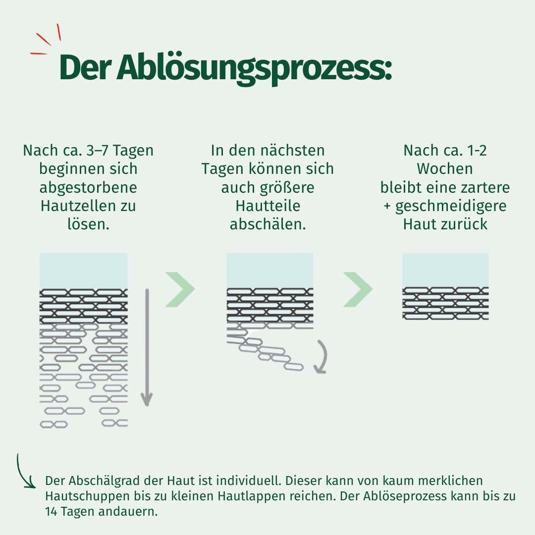 Grafik zeigt den Ablösungsprozess der Haut in drei Schritten. Text erklärt den Prozess.