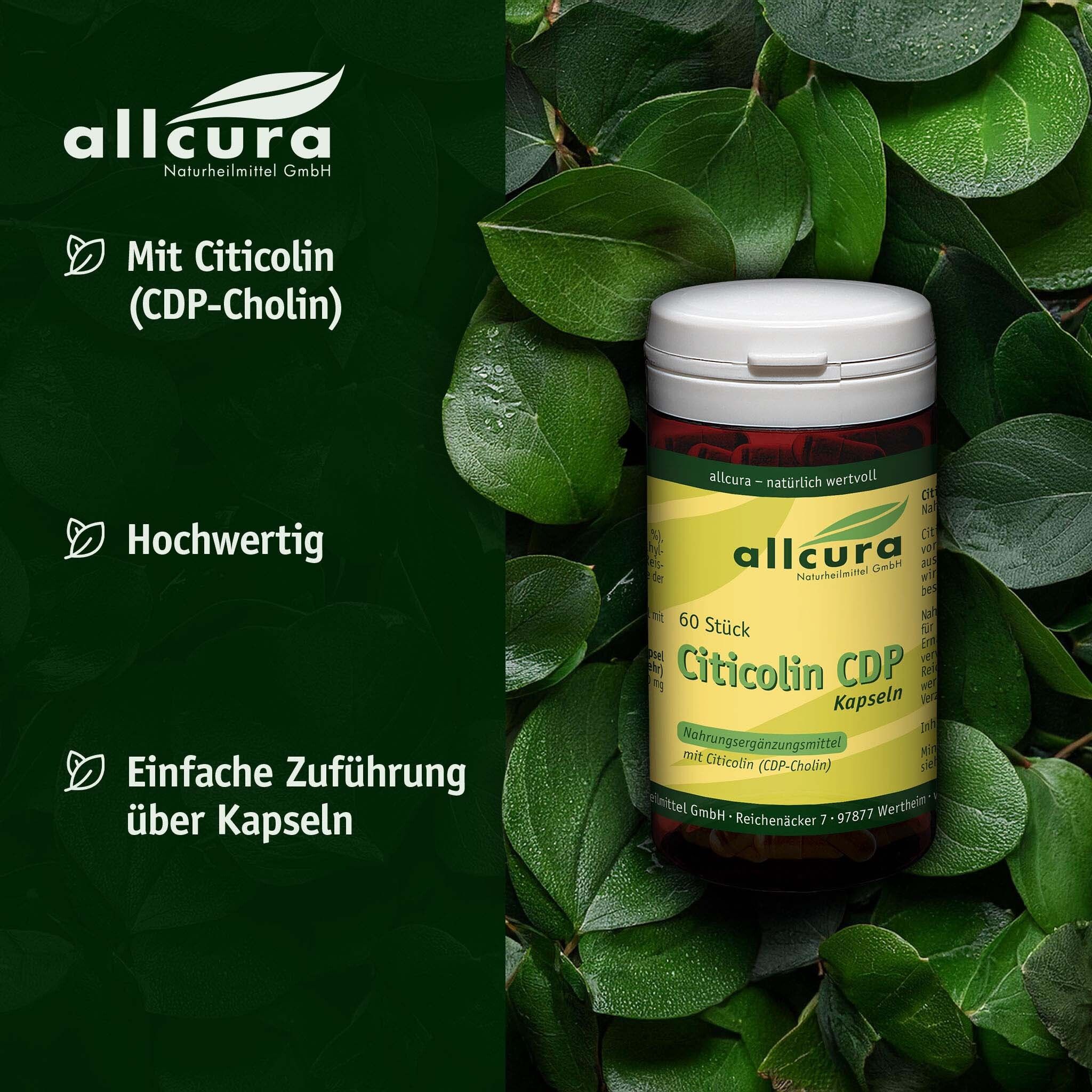 Weiße Dose mit braunen Kapseln, umgeben von Blättern. Aufschrift: Citicolin CDP Kapseln. Marke: allcura.