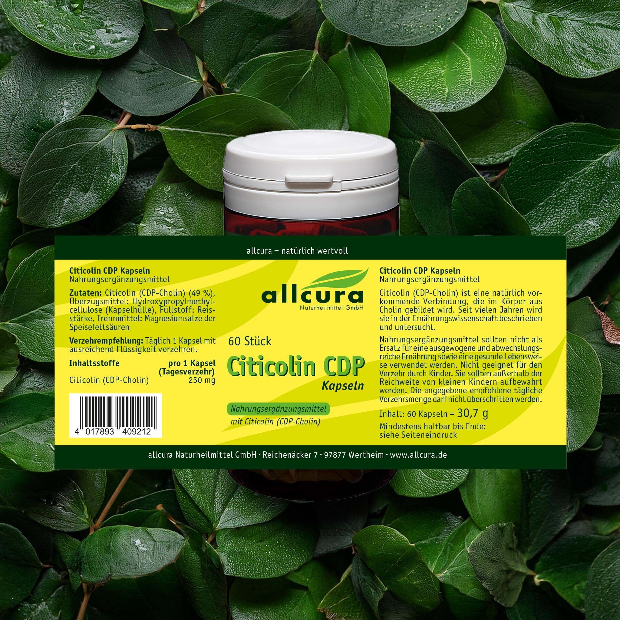 Dose mit Citicolin CDP Kapseln, umgeben von Blättern. Aufschrift: 60 Stück. Marke: allcura.