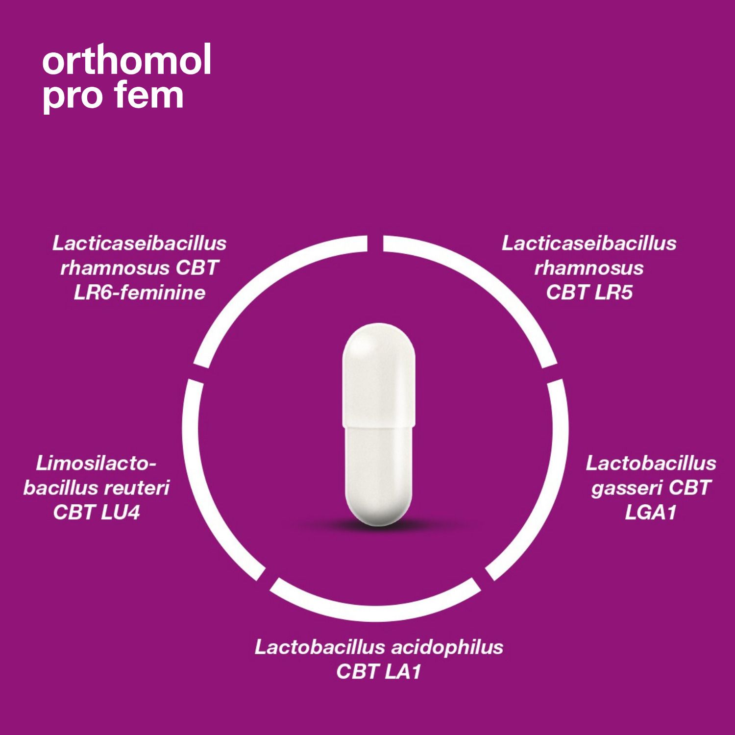 Orthomol Pro fem für die Vaginalflora