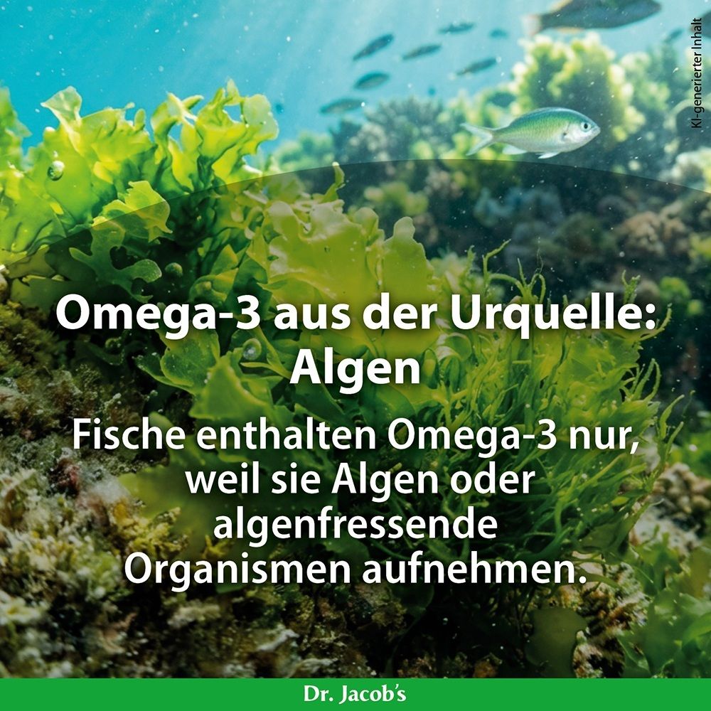 Unterwasseraufnahme von Algen und Fischen, Text: Omega-3 aus der Urquelle: Algen.