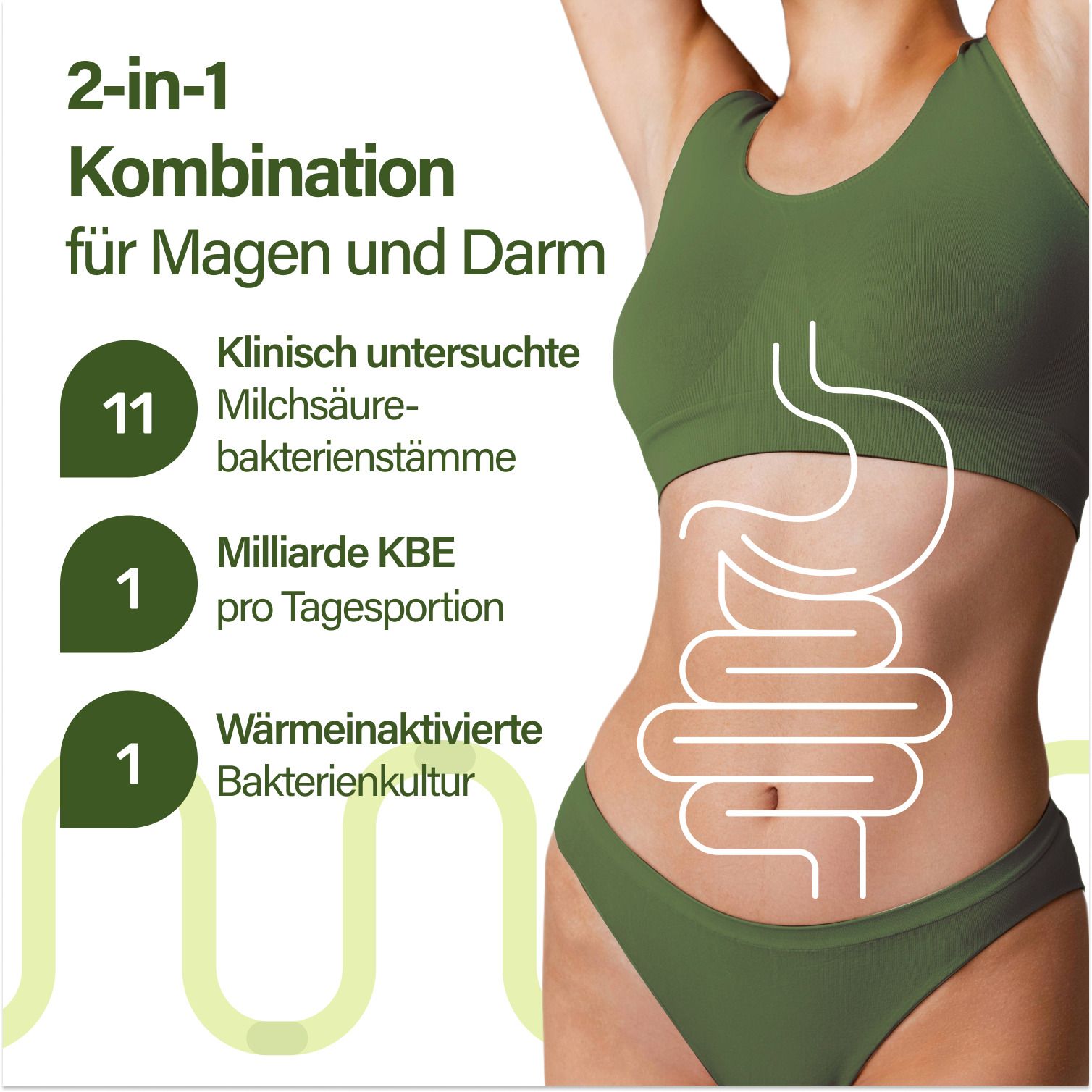 Grafik mit Text: 2-in-1 Kombination für Magen und Darm. 11 Milchsäurebakterienstämme, 1 Milliarde KBE, 1 wärmeaktivierte Bakterienkultur.