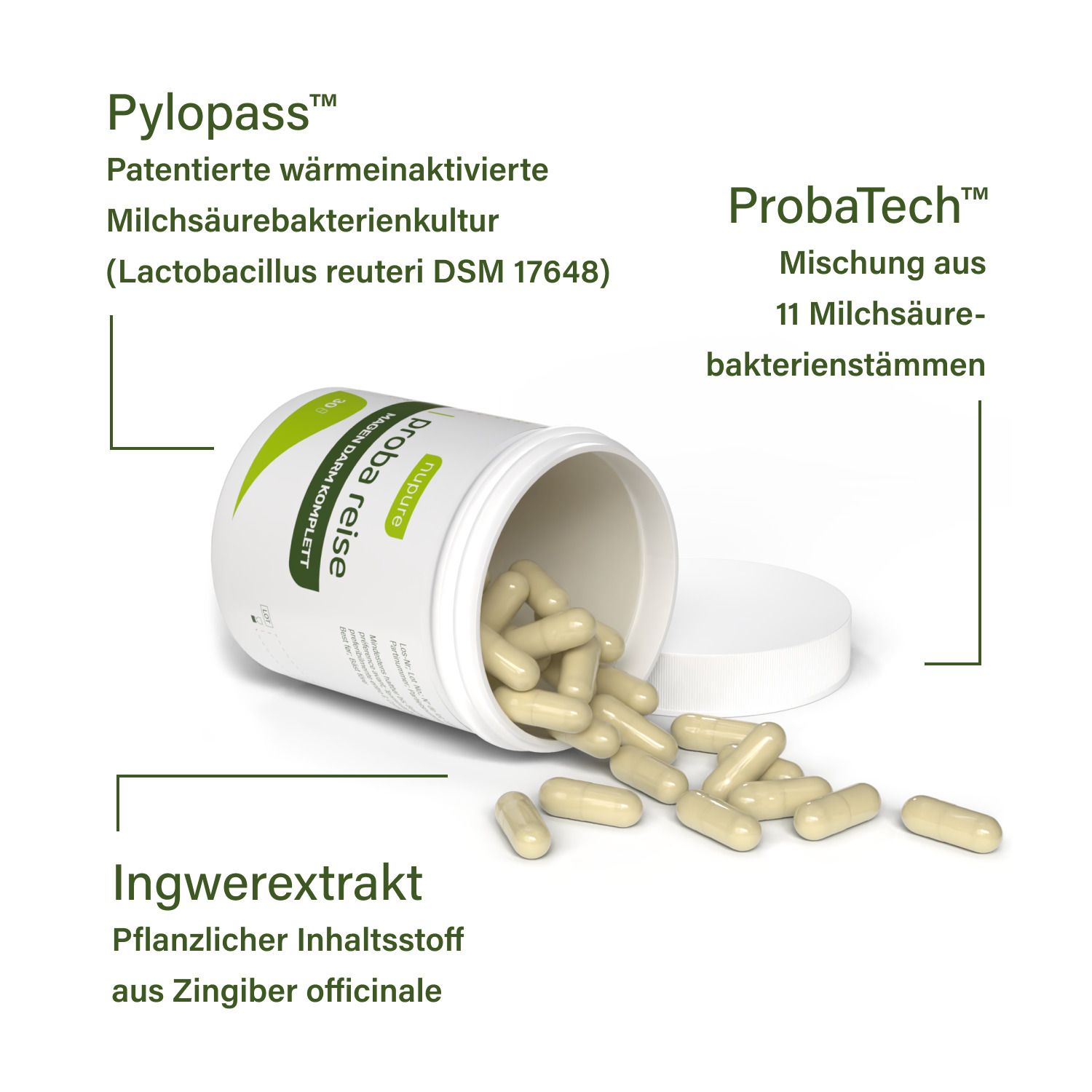 Produktabbildung: Geöffnete Dose mit Kapseln. Text: Pylopass, ProbaTech, Ingwerextrakt. Details zu Inhaltsstoffen und Bakterienstämmen.