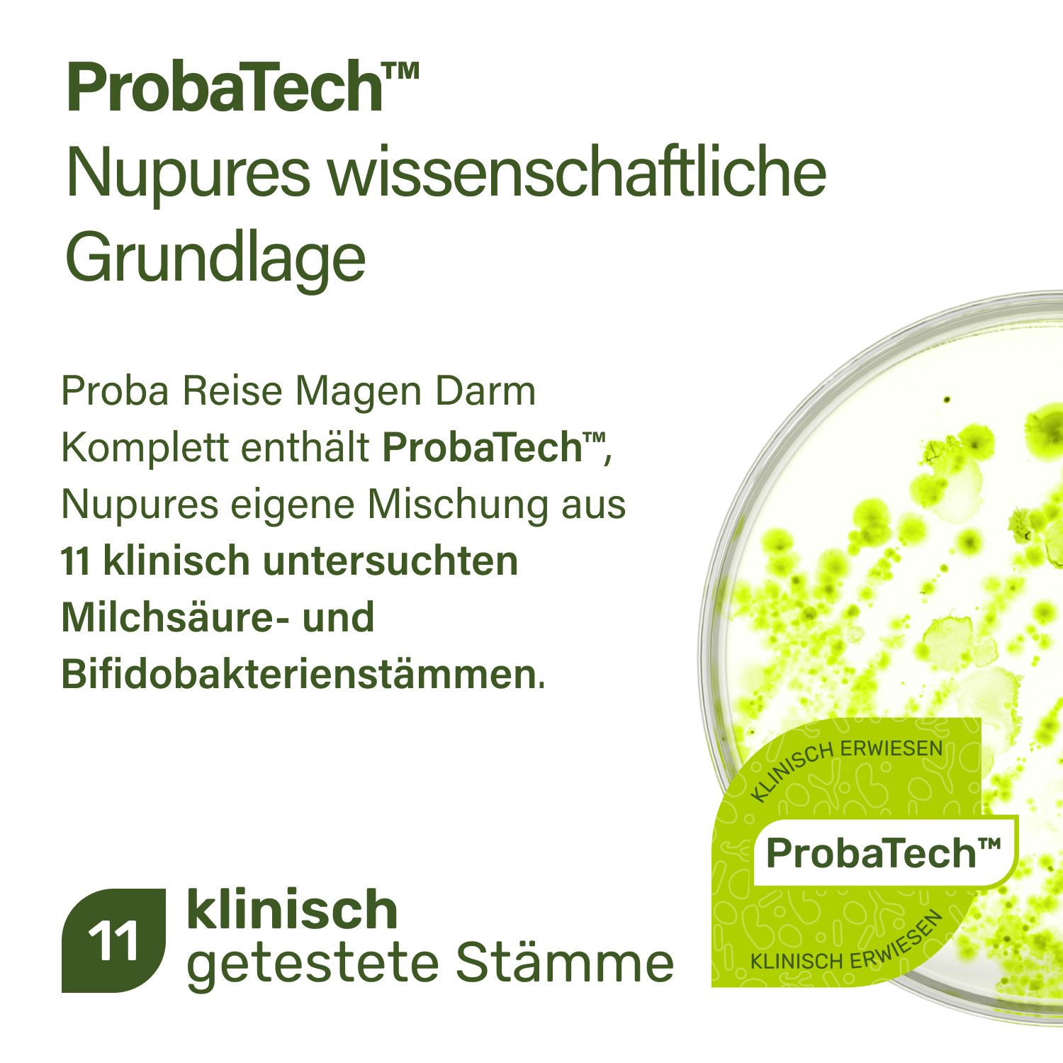 Nupure Proba Reise Magen Darm Komplett Kapseln – Mit 11 Milchsäurebakterienkulturen (ProbaTech™), Pylopass™ und Ingwerextrakt