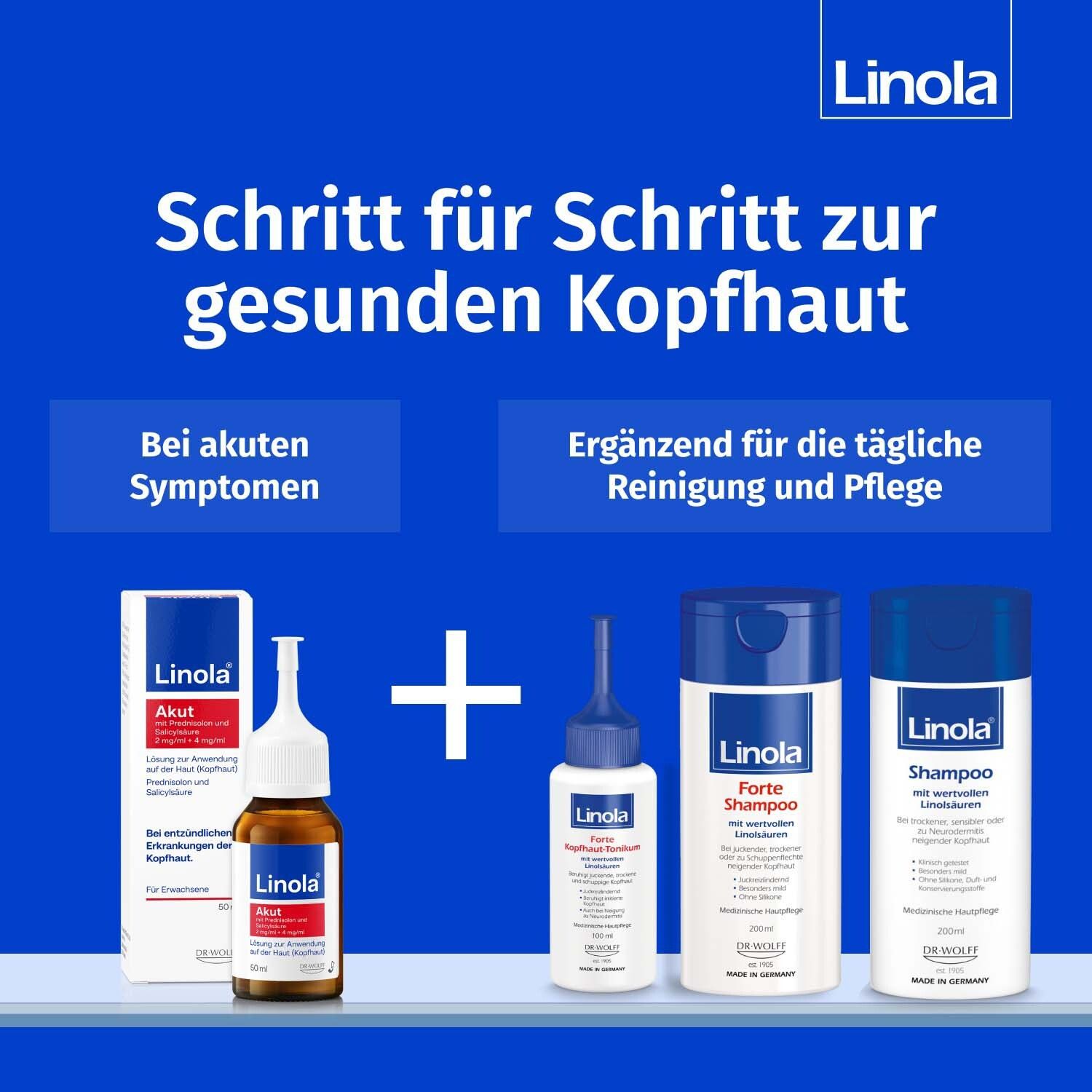 Grafik mit Produkten. Schritt für Schritt zur gesunden Kopfhaut. Linola Akut, Shampoo und weitere Produkte.