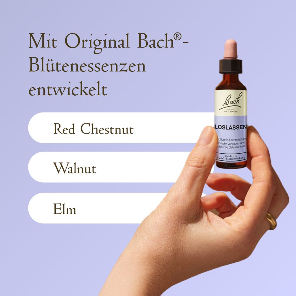 Hand hält Bach Blüten Tropfenflasche mit Pipette. Liste mit 'Red Chestnut', 'Walnut', 'Elm'.