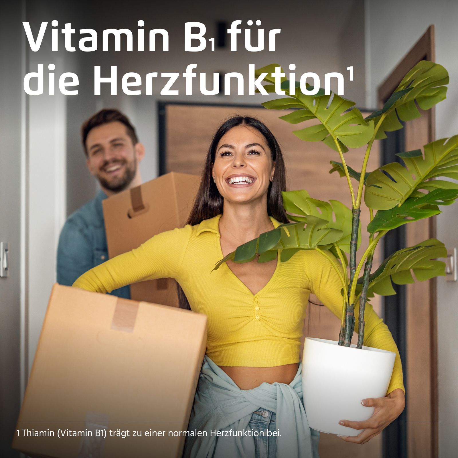 Ein Paar zieht mit Umzugskartons und einer Pflanze in eine neue Wohnung.