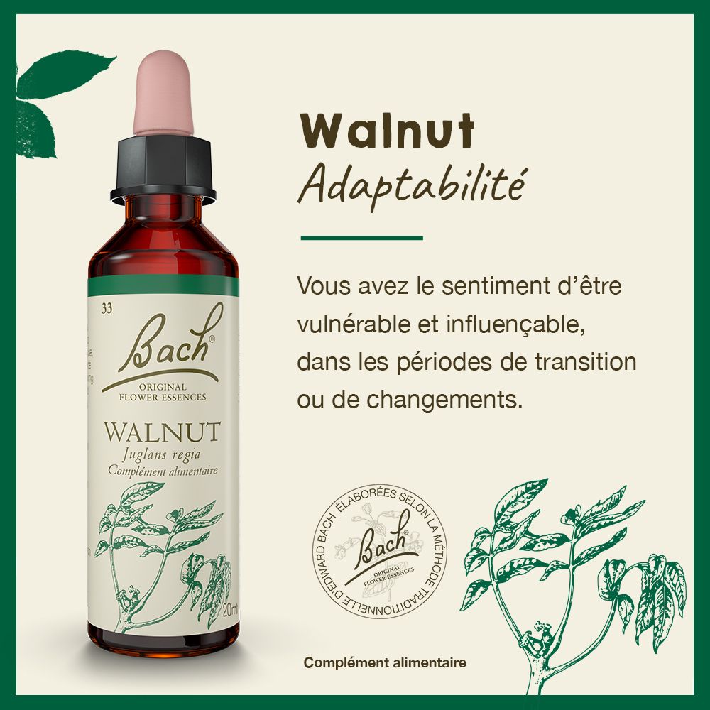 Grüner Hintergrund mit Text. 'Walnut Adaptabilität'. Text auf Französisch.