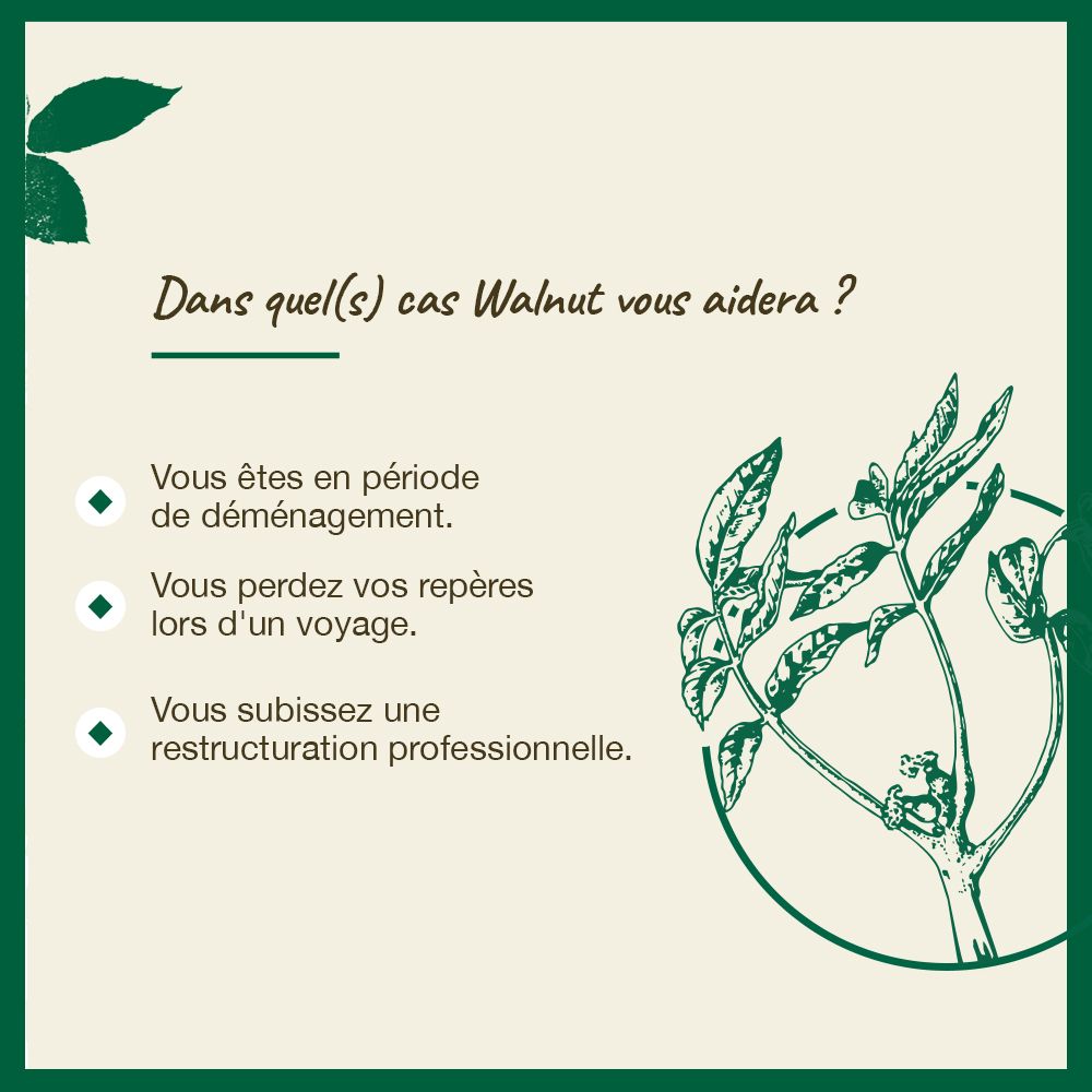 Grüner Hintergrund mit Text. 'Dans quel(s) cas Walnut vous aidera ?' Französischer Text.