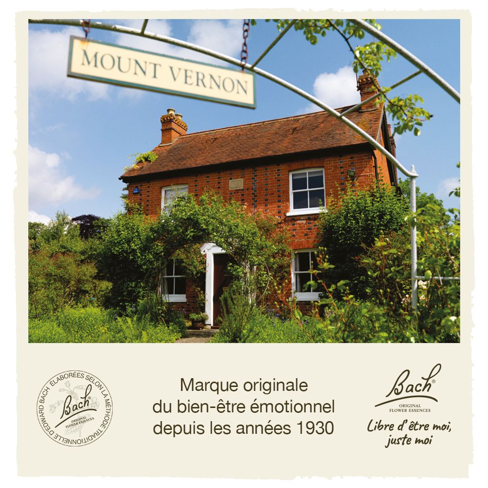 Haus mit Schild 'Mount Vernon'. Text: 'Marke des emotionalen Wohlbefindens'.
