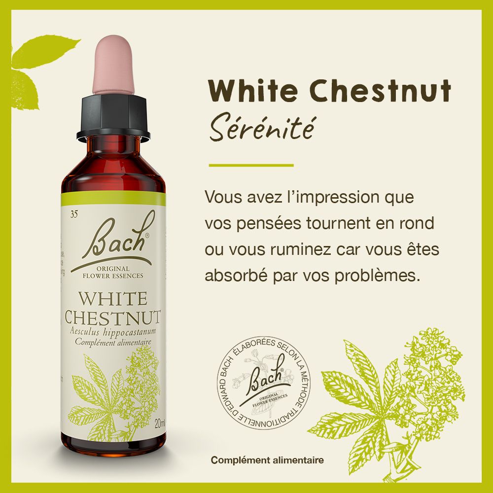 Flacon et texte "White Chestnut, Sérénité". Logo et feuilles.