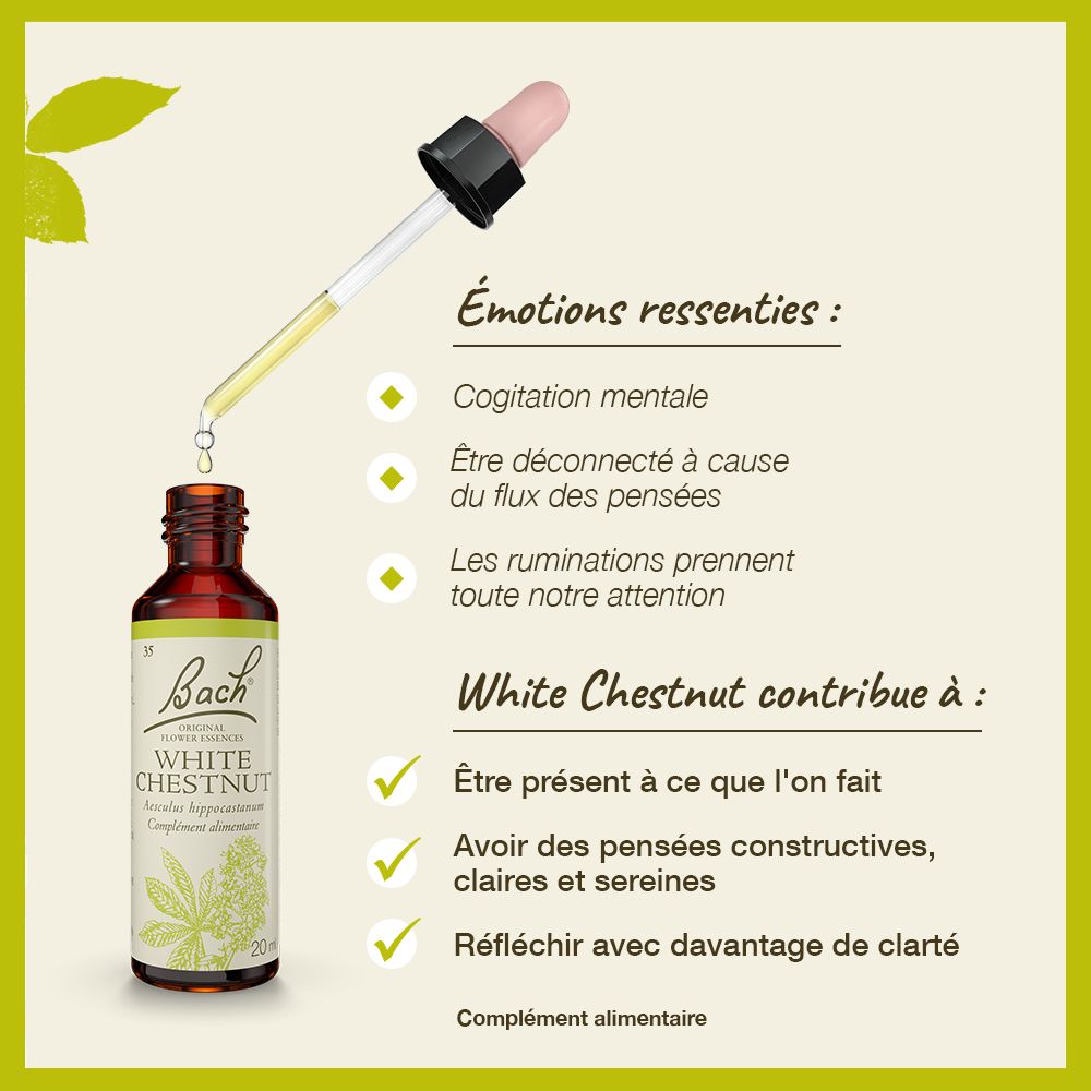 Flacon avec compte-gouttes. Texte "White Chestnut". Diagramme avec gouttes et texte.