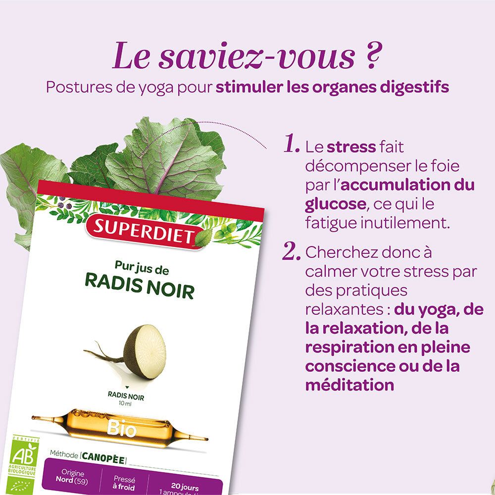 Schachtel Superdiet Radis noir bio. Ampullen und Radieschen. Text: Radis Noir. Yoga-Posen.