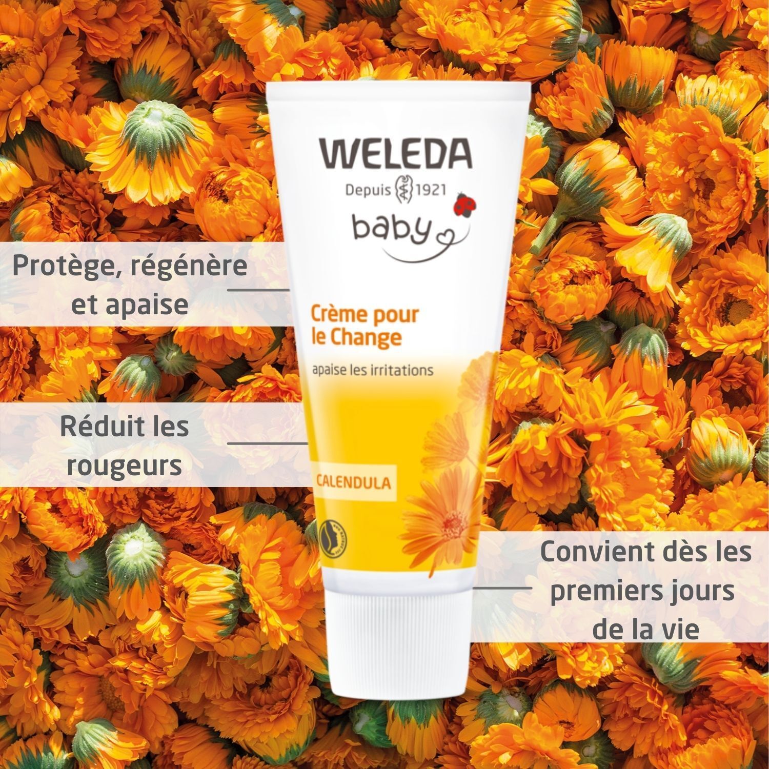 Weleda Babycreme-Tube vor Hintergrund aus Ringelblumenblüten. Text: Crème pour le Change. Enthält Calendula.