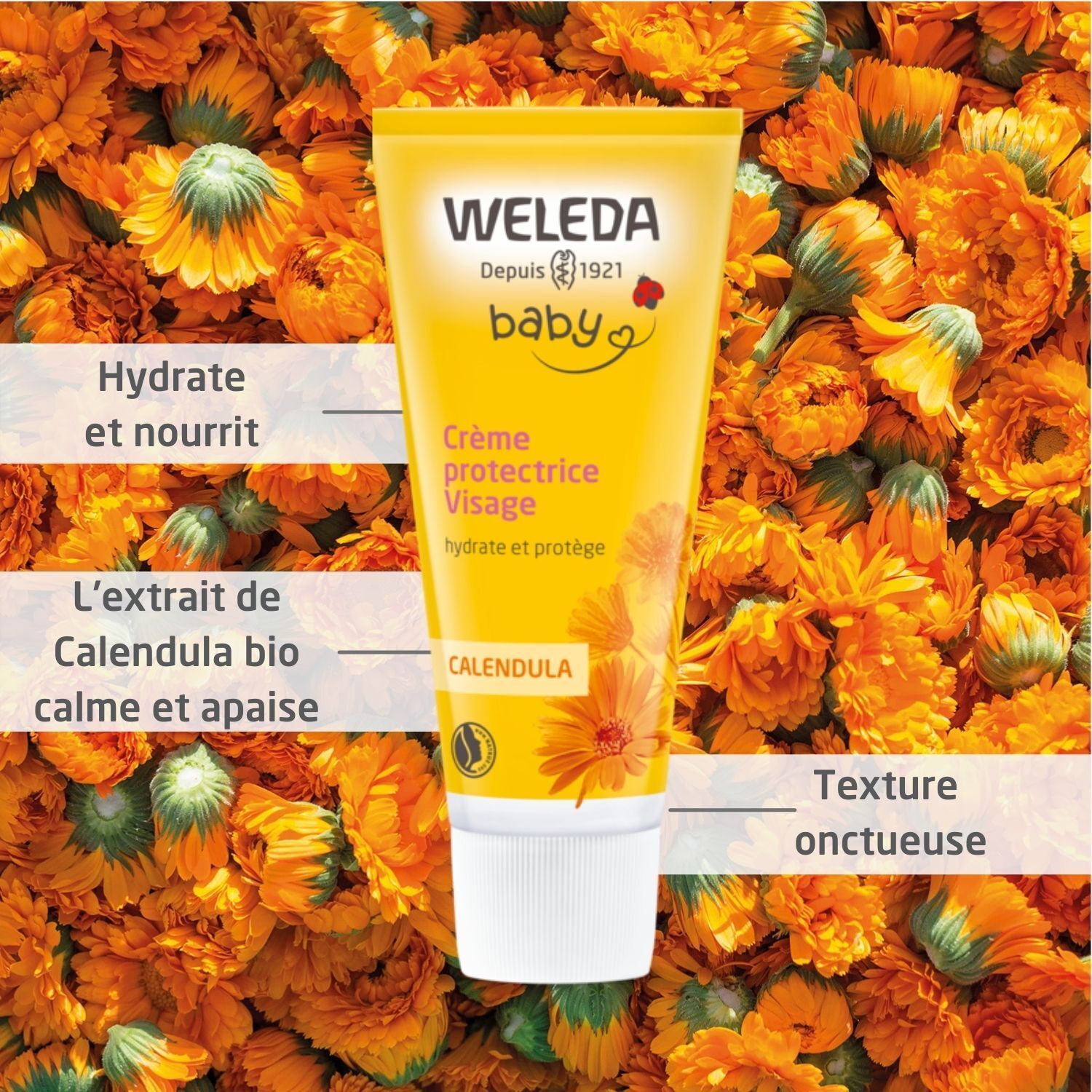Gelbe Tube "Weleda Baby" vor orangefarbenen Blüten. Text: Crème protectrice Visage, Calendula. Texte.