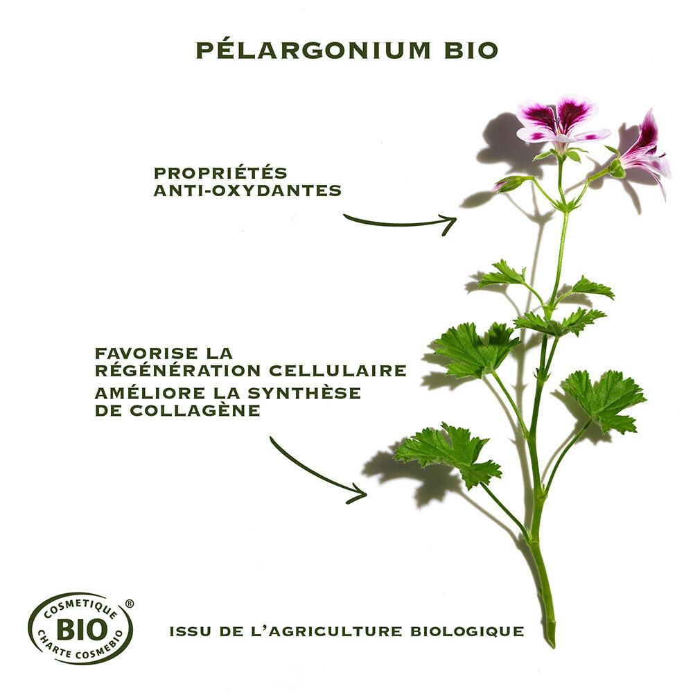 Plante: Pélargonium bio. Anti-oxydants. Favorise la régénération cellulaire. Améliore la synthèse de collagène. Bio.