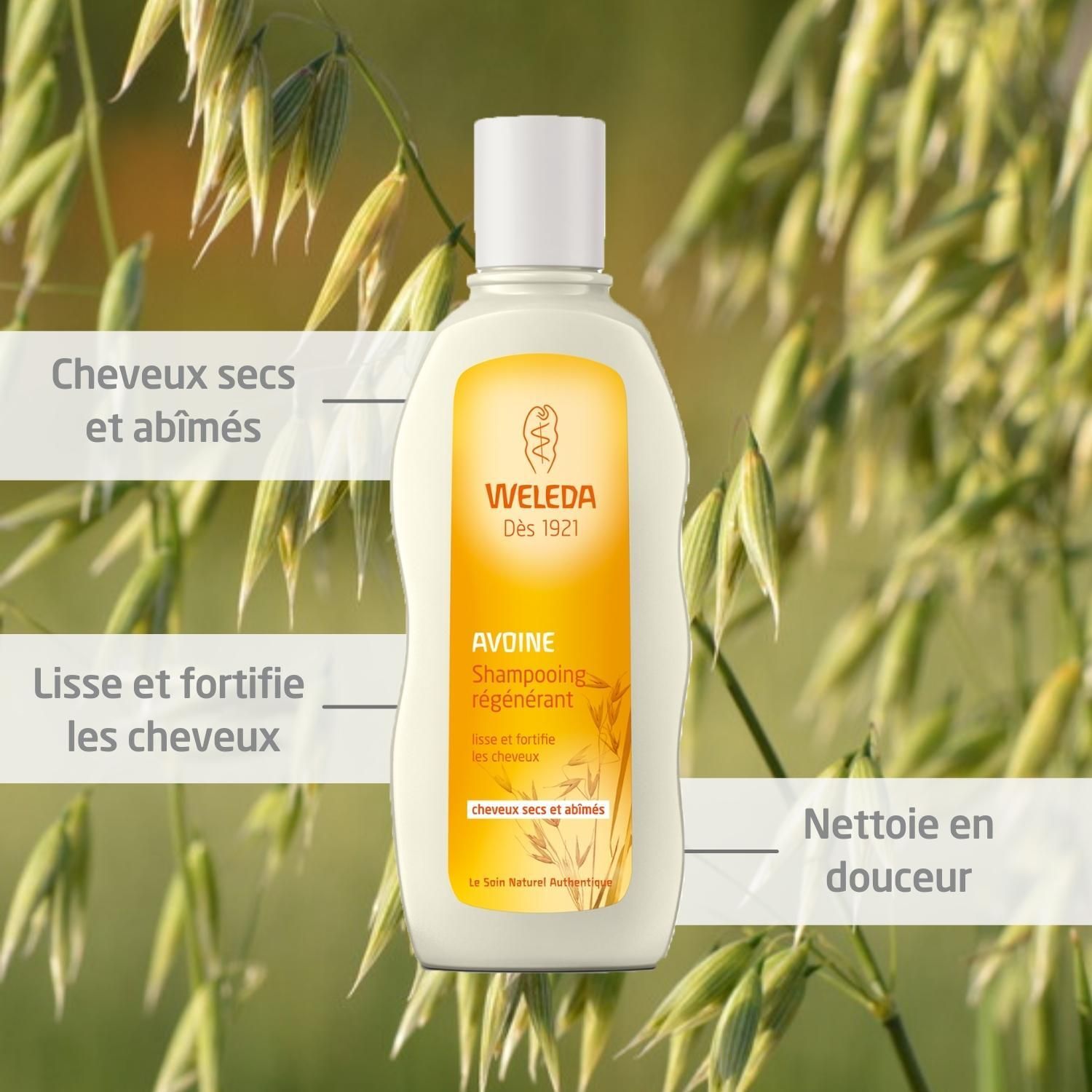 Weleda Shampoo-Flasche mit Text. Für trockenes, strapaziertes Haar. Lisse et fortifie les cheveux. Nettoie en douceur.
