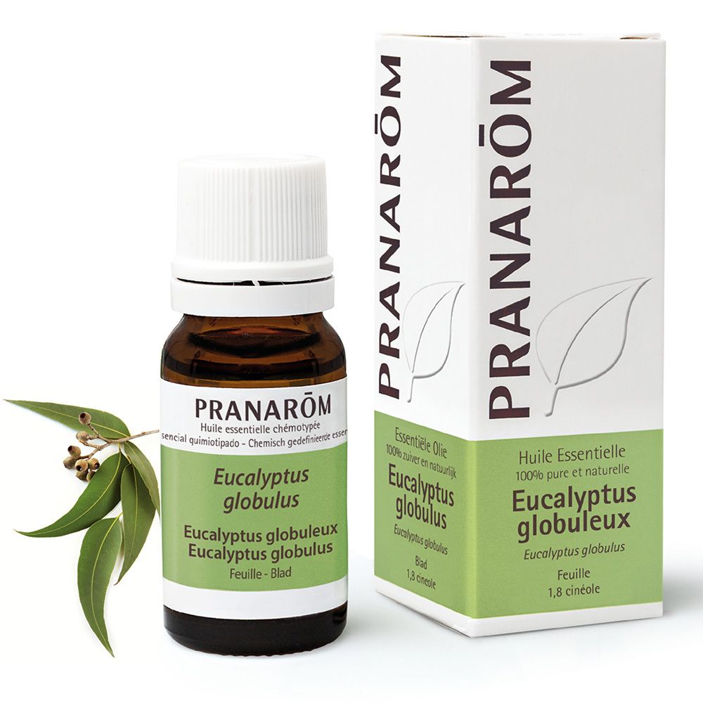 Pranarom Eucalyptus globuleux Huile essentielle