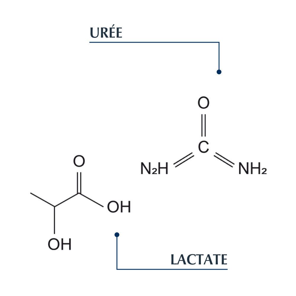 Chemische Formeln für Harnstoff und Lactat.