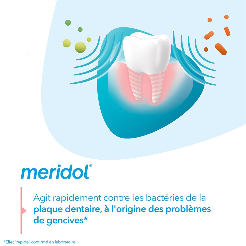 Modèle de dent avec gencives. Logo meridol®. Texte: Agit rapidement contre les bactéries à l'origine des problèmes de gencives.