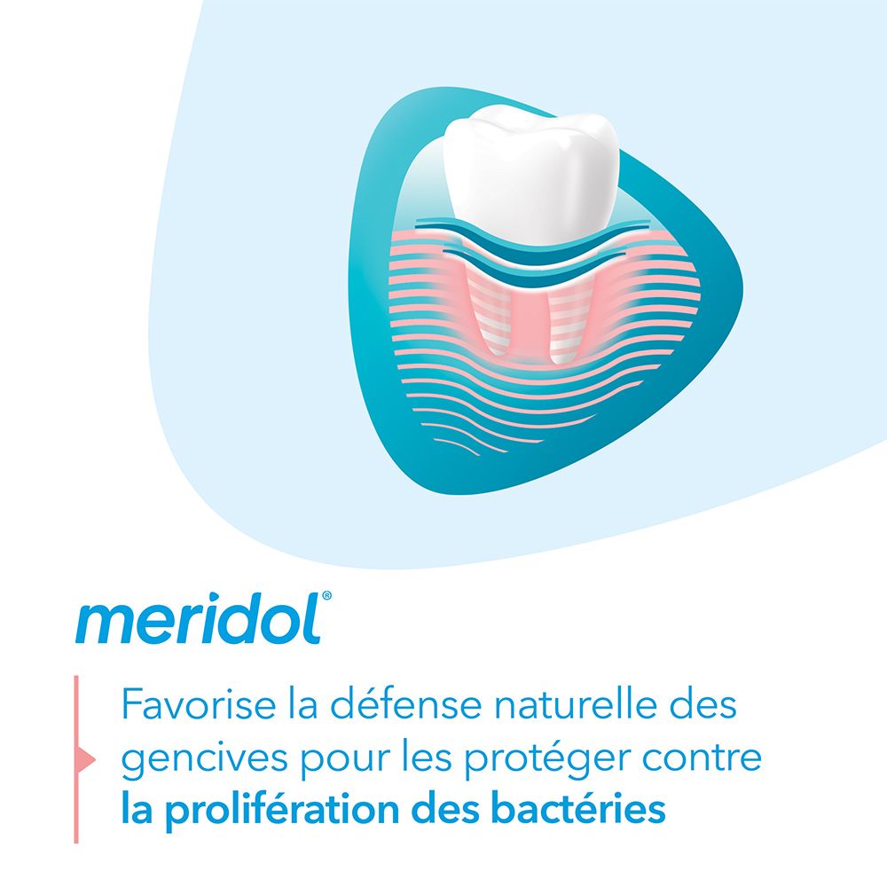 Modèle de dent avec gencives. Logo meridol®. Texte: Favorise la défense naturelle des gencives.