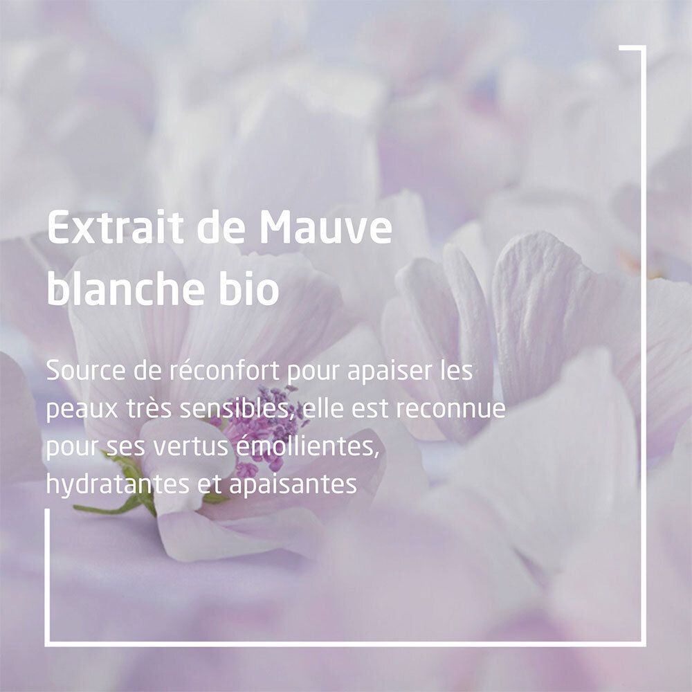 Nahaufnahme von weißen Blüten. Text: Extrakt aus weißer Bio-Malve. Beruhigt empfindliche Haut. Feuchtigkeitsspendend und beruhigend.