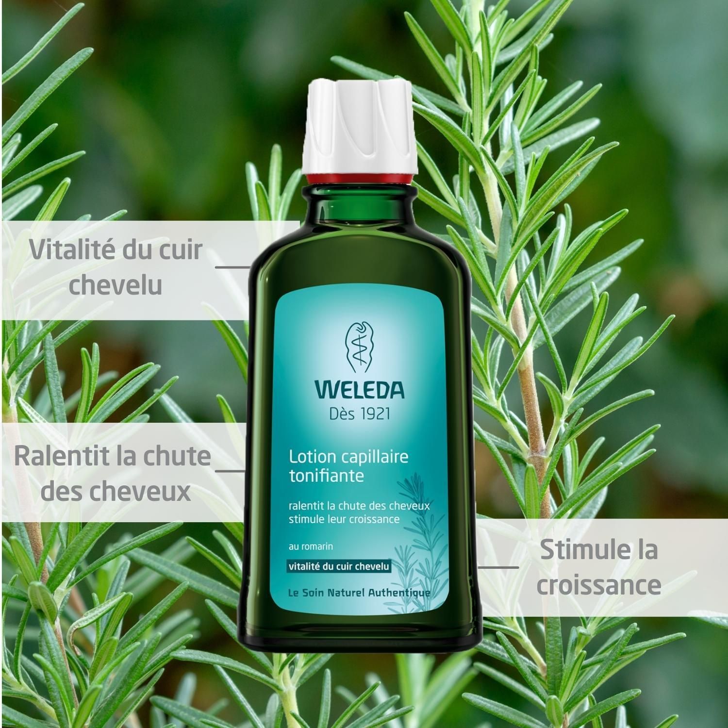 Flacon Weleda avec branches de romarin. Bouteille en verre vert avec bouchon blanc. Inscription : Lotion capillaire tonifiante.