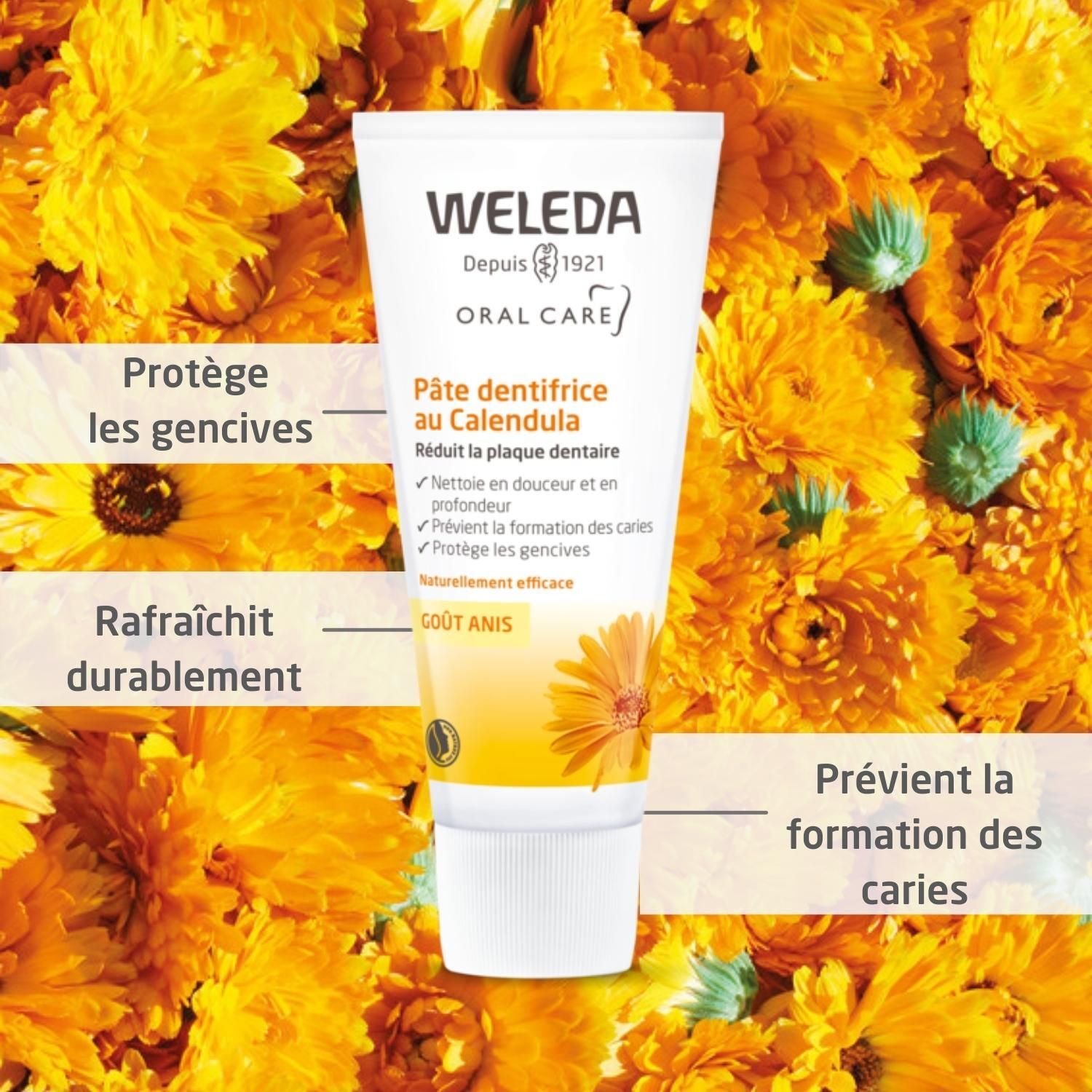 Zahncreme-Tube WELEDA, umgeben von gelben Blüten. Text: Pâte dentifrice au Calendula. Logo und Schriftzug.