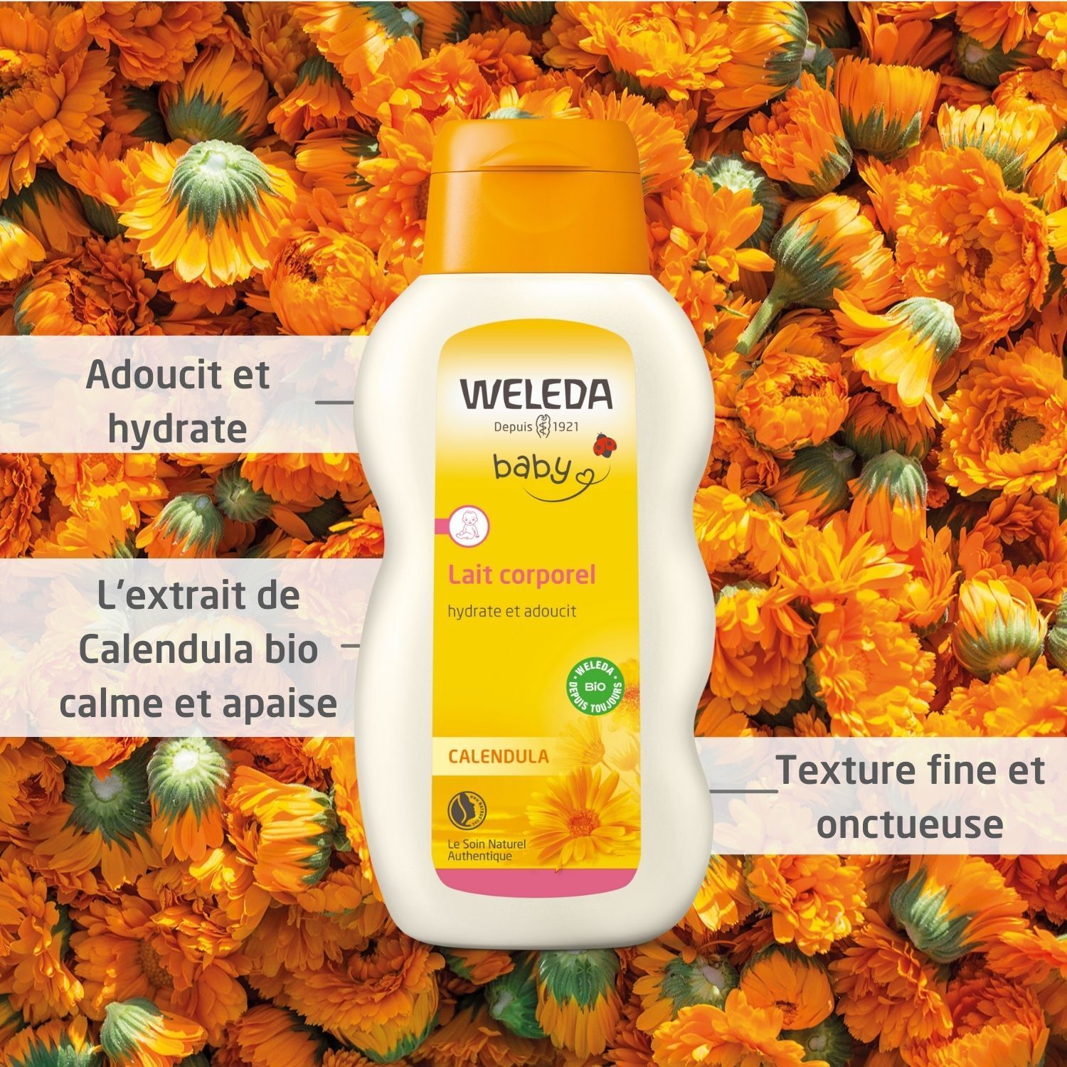 Weleda Baby-Ringelblumen-Körpermilch. Flasche vor Hintergrund aus Ringelblumen. Text: Calendula, Lait corporel, Weleda.