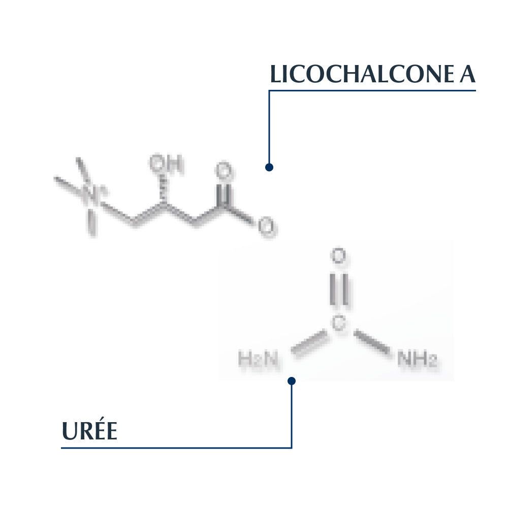 Structures chimiques de l'urée et de la licochalcone A. Étiquettes : Urée et Licochalcone A.