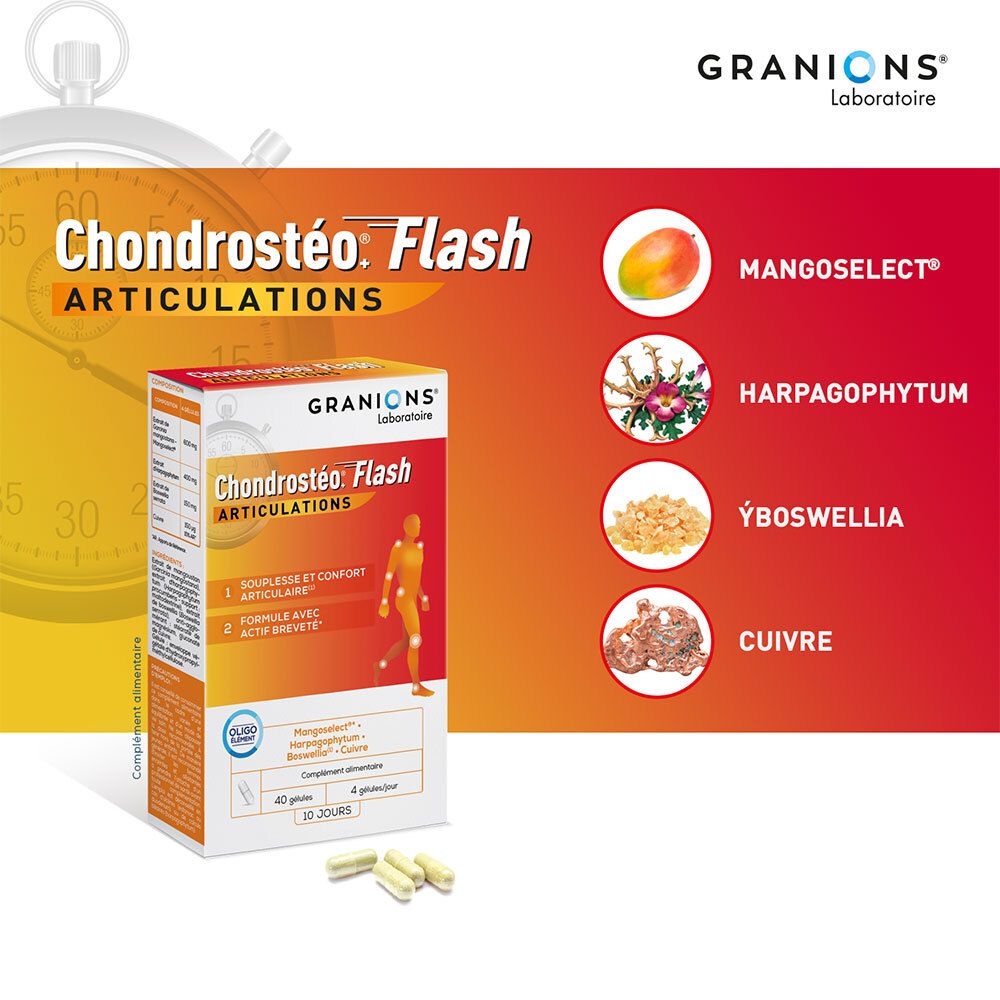 Granions Chondrostéo Flash Articulation-Schachtel mit Inhaltsstoffen. Mangoselect, Harpagophytum, Boswellia, Cuivre.