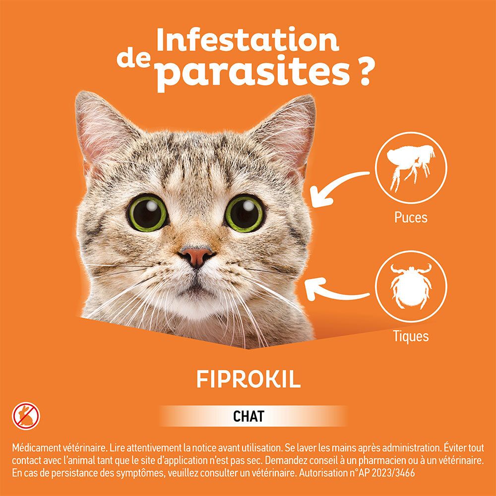 Fond orange avec chat et symboles parasites. Texte: Fiprokil, Chat.