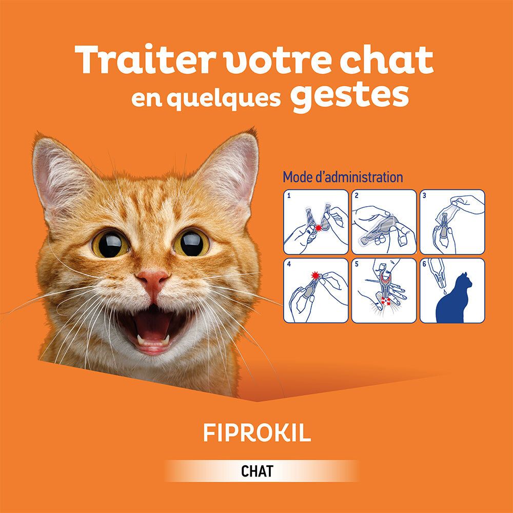 Fond orange avec chat et instructions d'utilisation. Texte: Fiprokil, Chat.