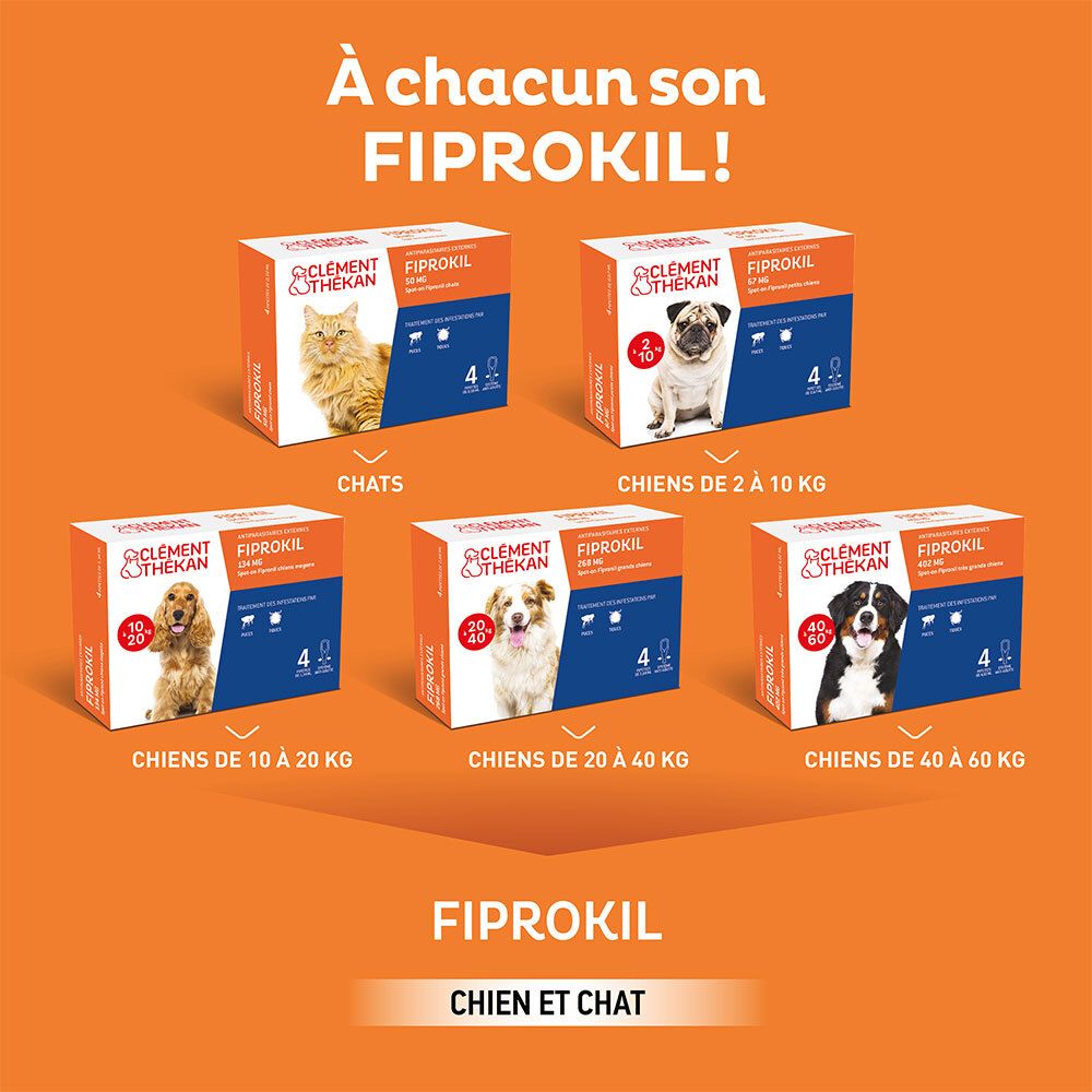 Emballages produits pour chiens et chats. Texte: Fiprokil, Chat, chiens 2-10 kg, 10-20 kg, 20-40 kg, 40-60 kg.