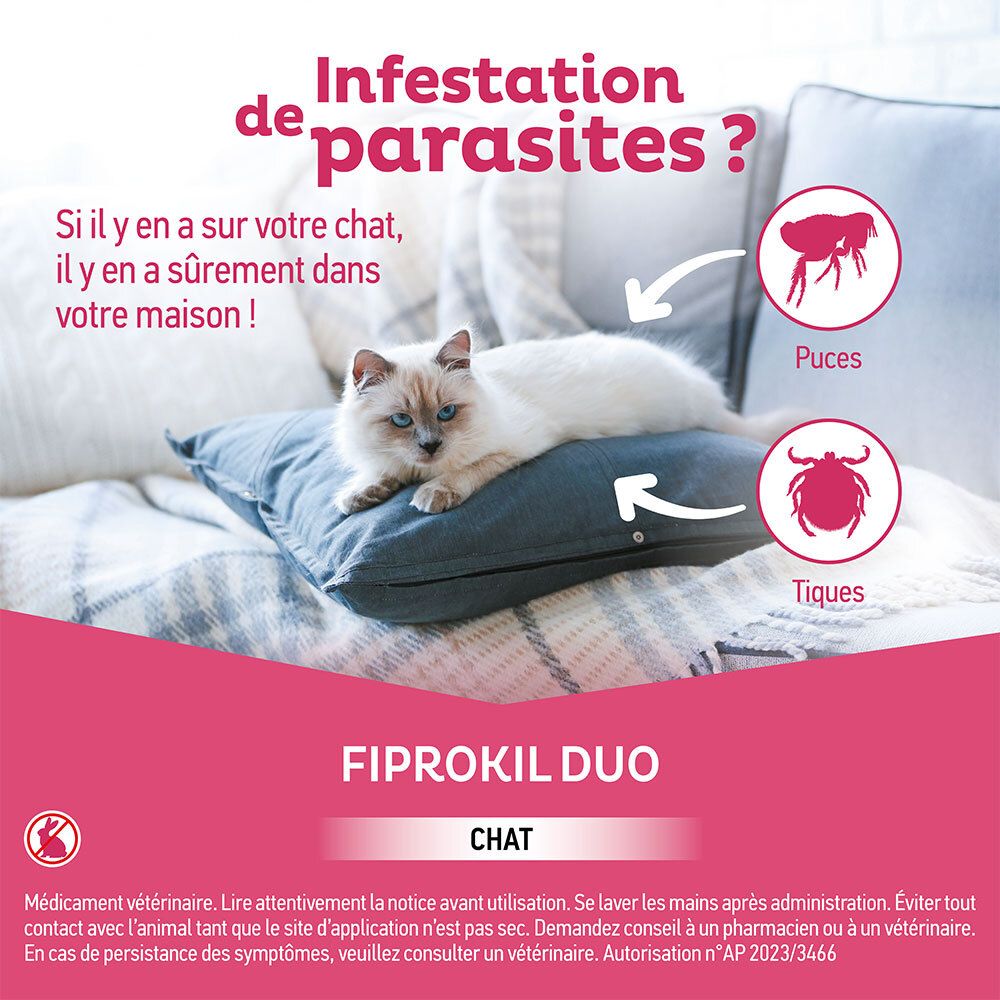 Publicité avec chat sur coussin. Texte: Infestation de parasites? Fiprokil Duo Chat.