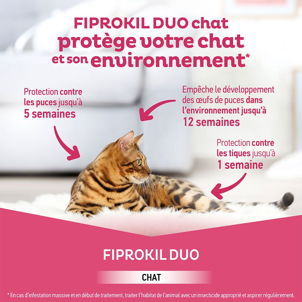 Chat sur tapis. Texte: Fiprokil Duo Chat protège chat et environnement. Flèches indiquent durées.