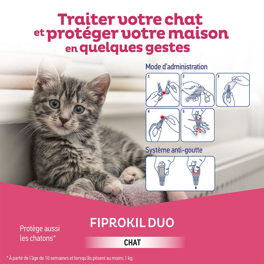 Chaton sur escalier. Texte: Fiprokil Duo Chat. Illustrations: étapes d'application.
