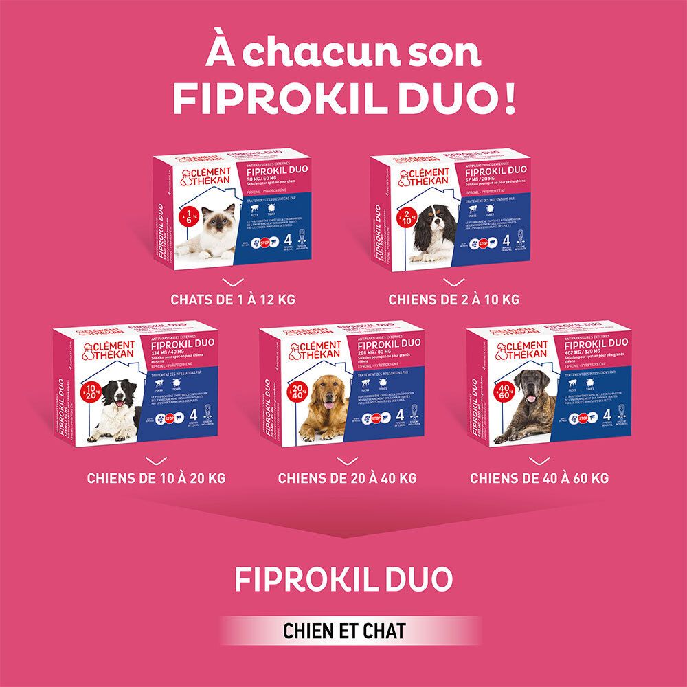 Gamme Fiprokil Duo. Différents emballages pour chats et chiens. 4 pipettes par boîte.