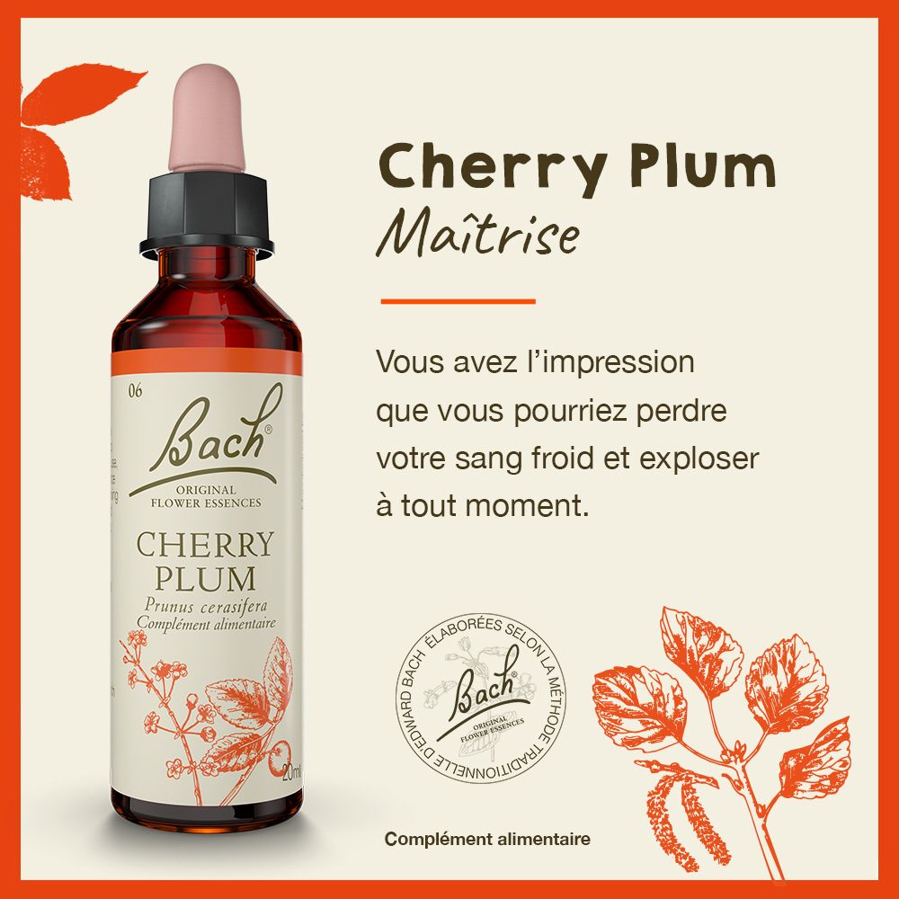 Werbetafel mit Flasche und Text. Text: Cherry Plum, Maîtrise.