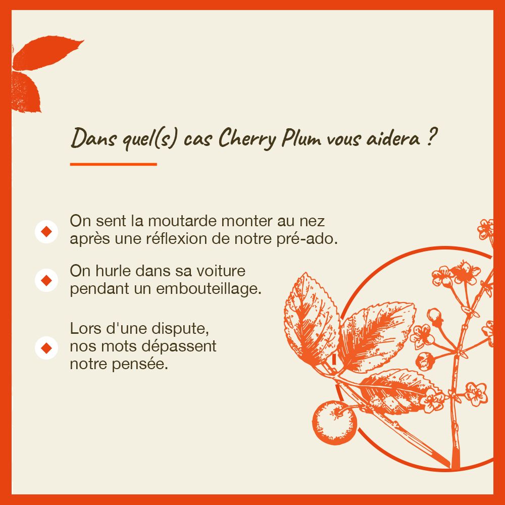Grafik mit Text: In welchen Fällen hilft Cherry Plum?