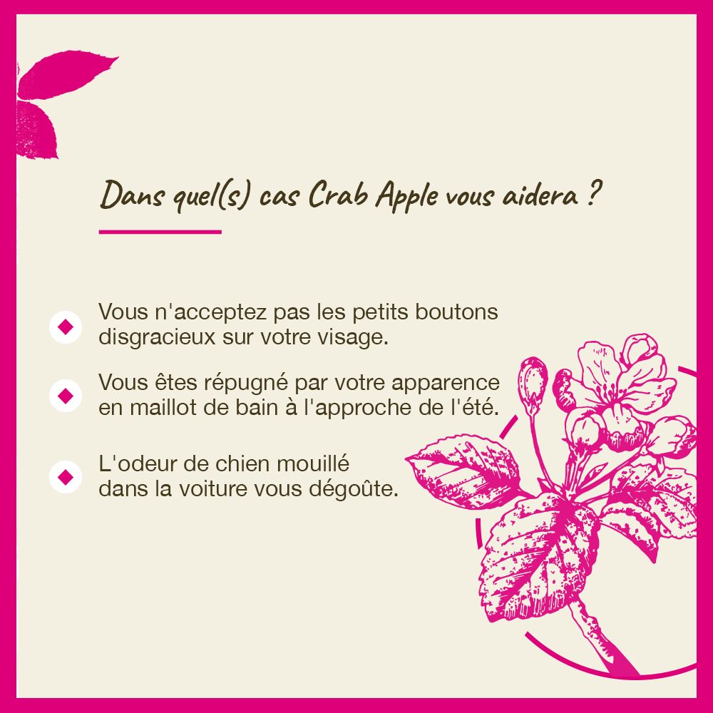 Rosa Hintergrund. Text: In welchen Fällen hilft Crab Apple? Bach-Logo. Blüte.