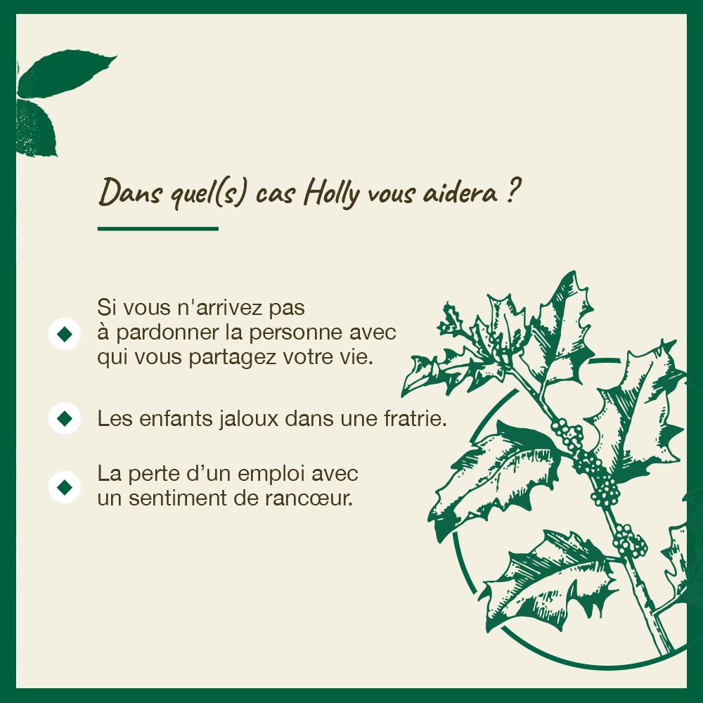 Produkt mit Text. Holly hilft bei Nicht-Vergebung, Eifersucht und Groll. Holly-Illustration.