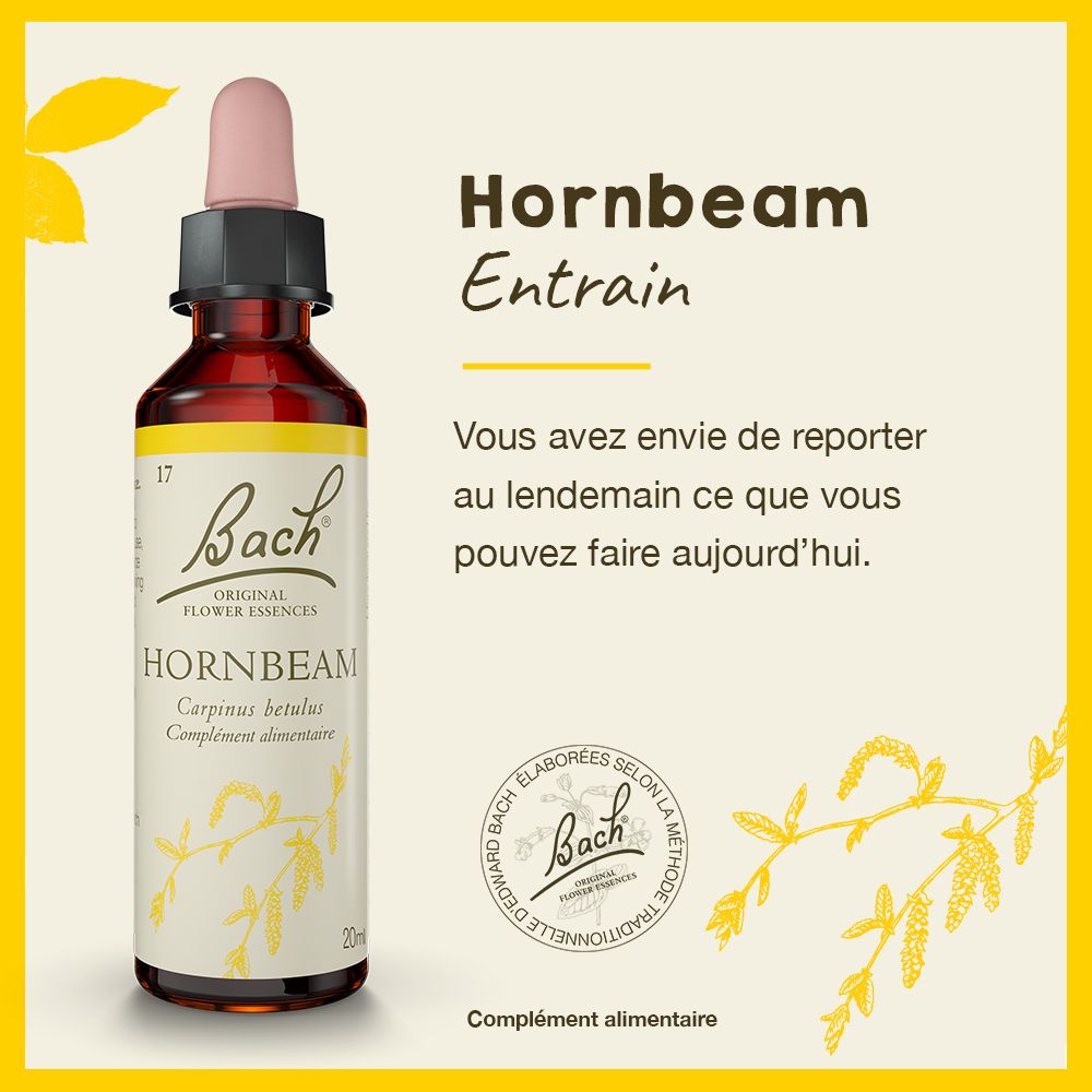 Gelber Hintergrund mit Flasche und Text. "Hornbeam Entrain". Logo Bach.