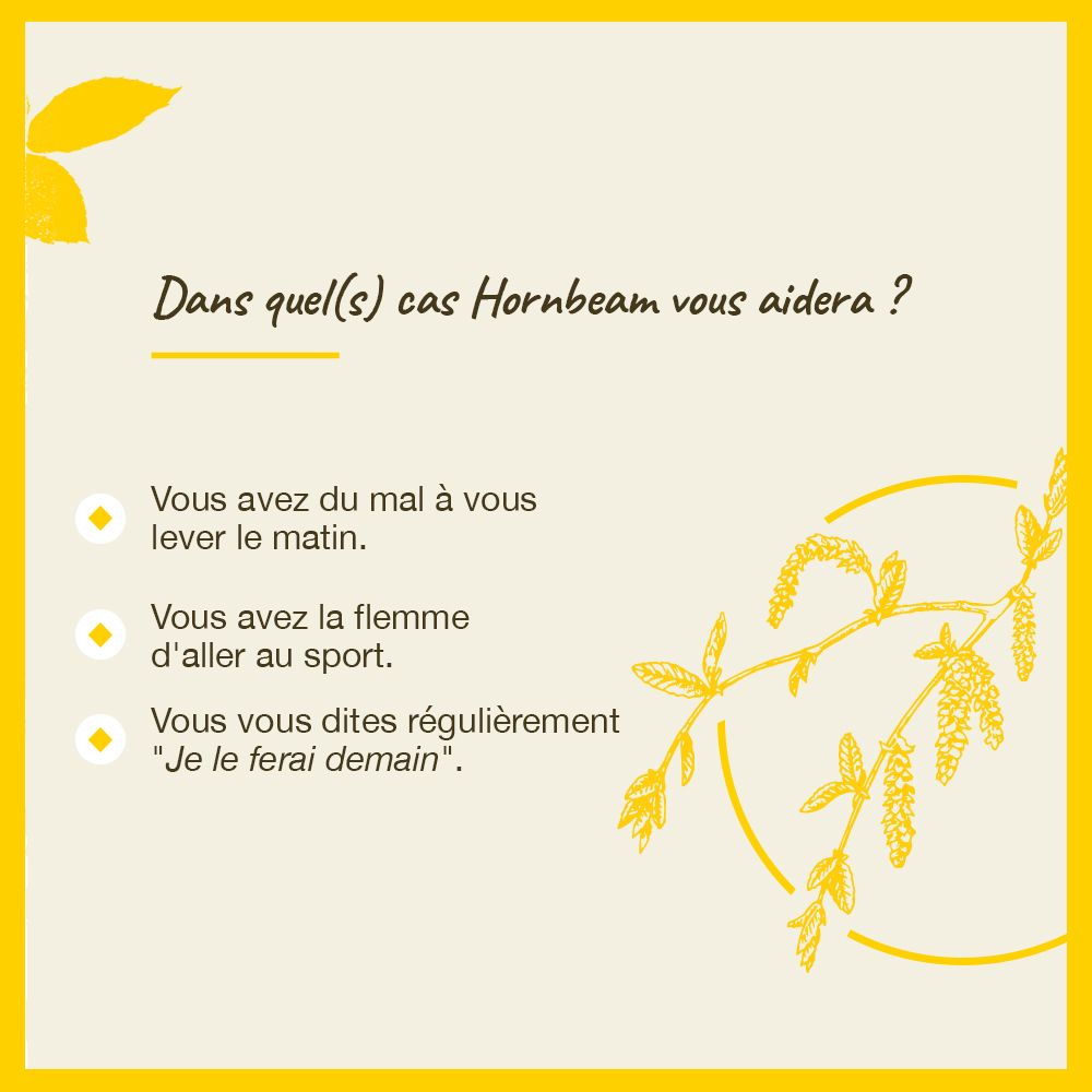 Gelber Hintergrund mit Text. "In welchen Fällen Hornbeam hilft?".