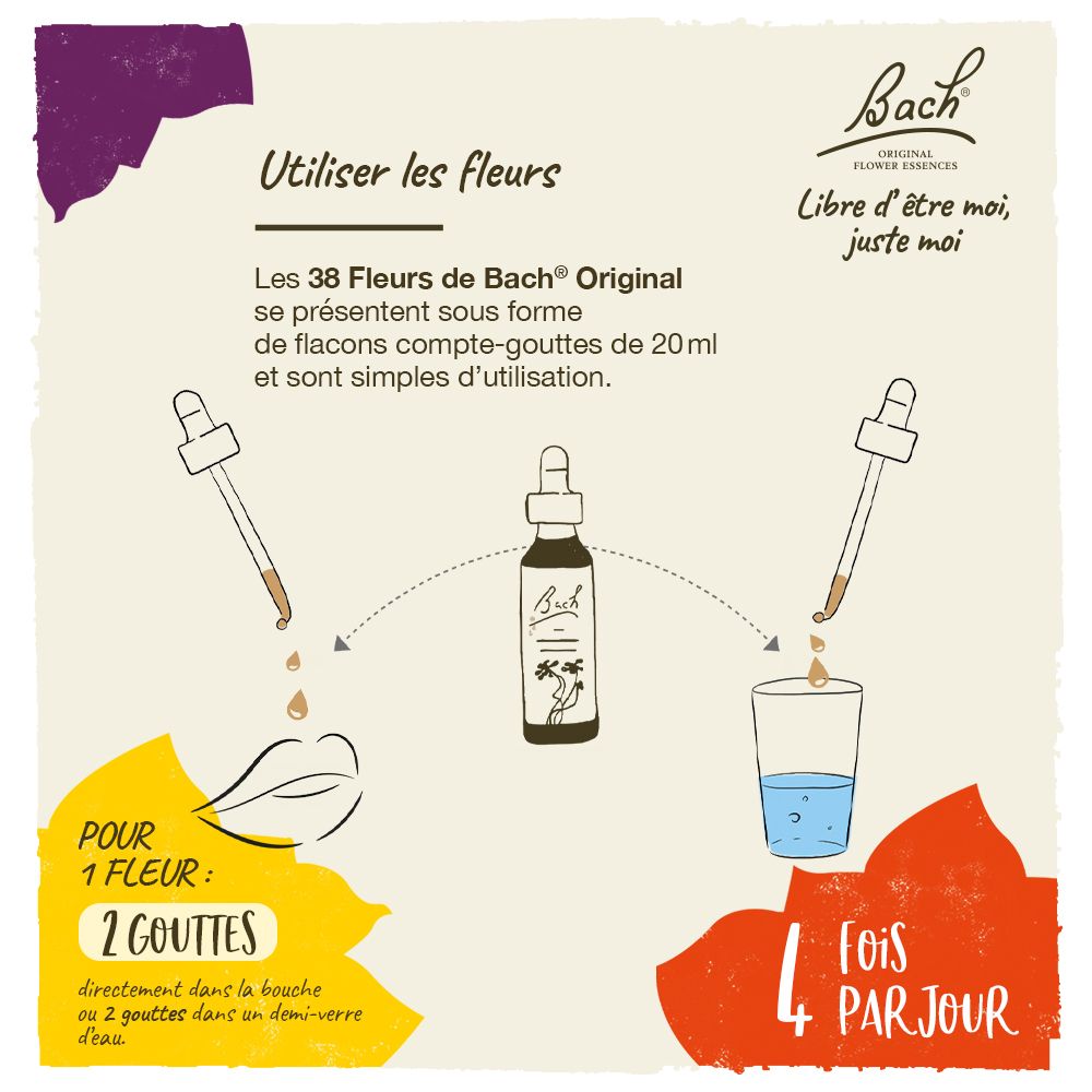 Illustration: Anwendung der Bach-Blüten. Flasche, Tropfen, Glas Wasser.