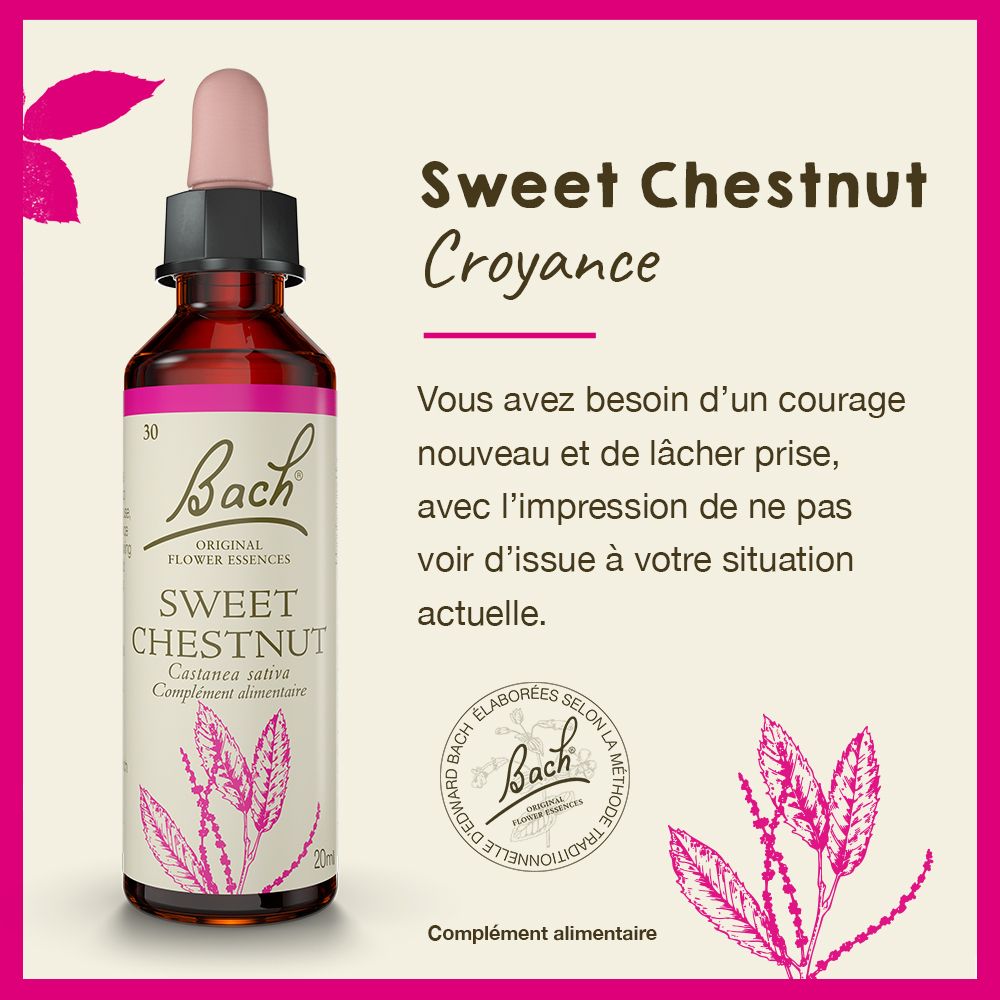 Produktflasche vor rosa Hintergrund. Text: Sweet Chestnut, Croyance. Text über Mut und Loslassen.