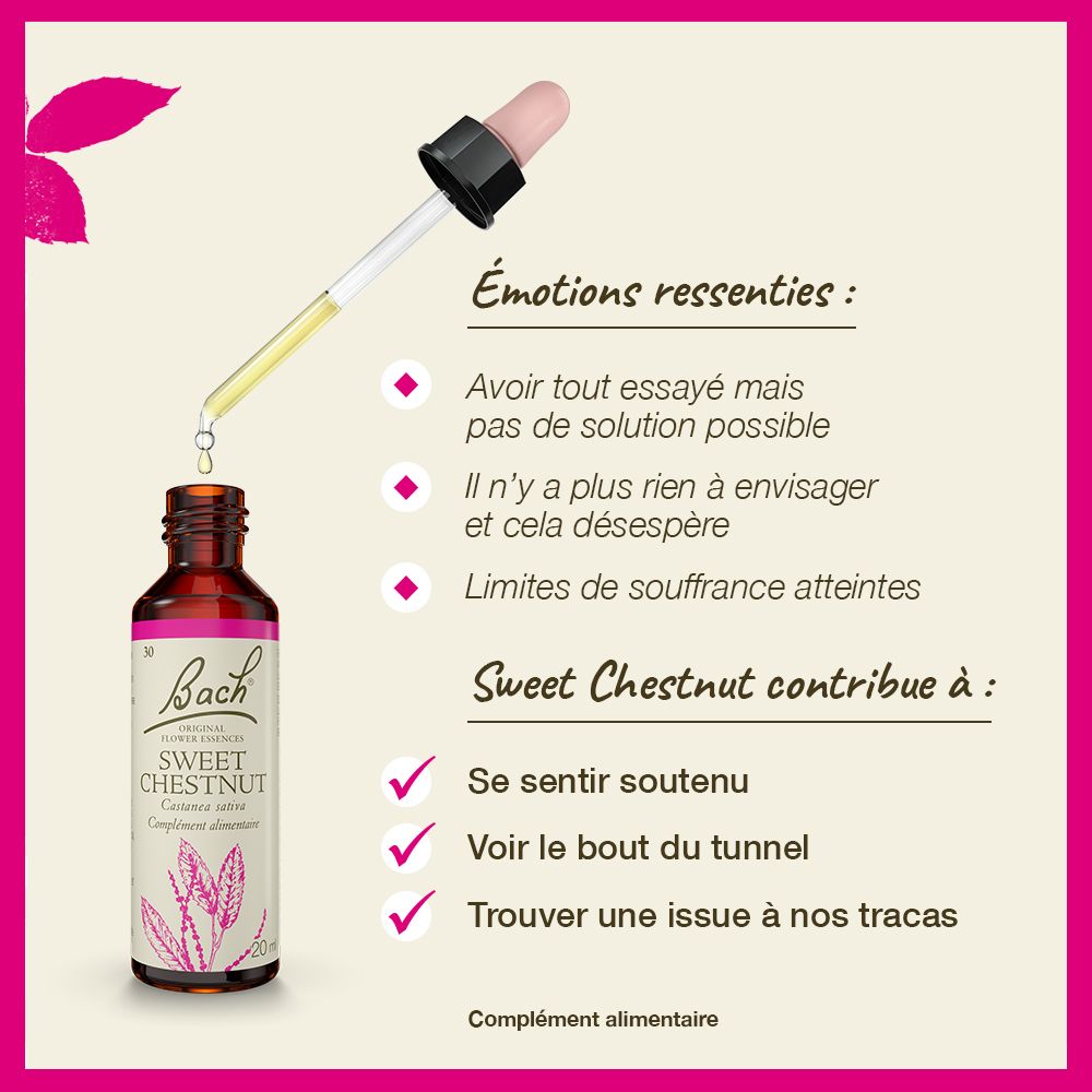Produktflasche mit Tropfer. Text über Emotionen und Vorteile von Sweet Chestnut. Rosa Hintergrund.