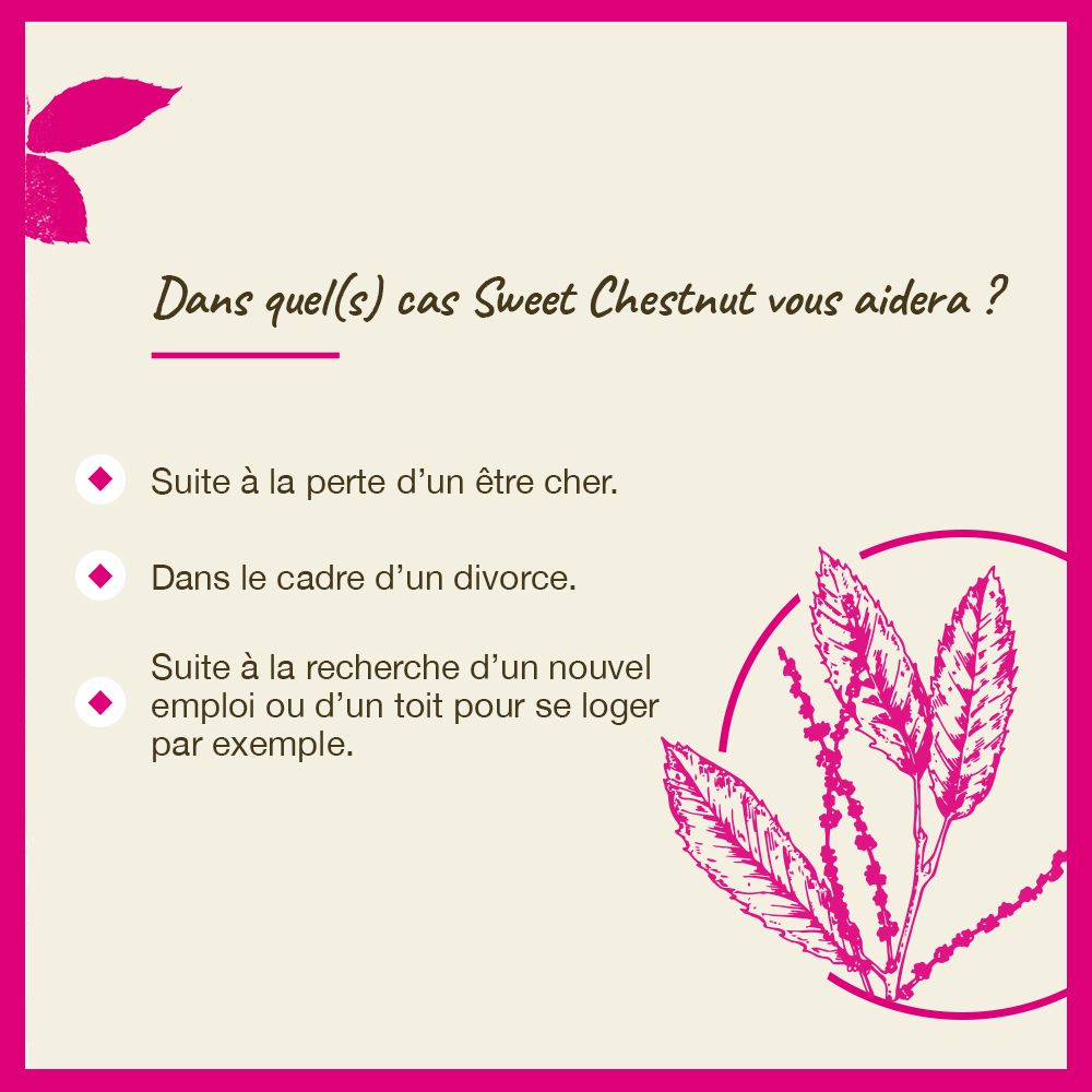 Rosa Hintergrund mit Text. In welchen Fällen Sweet Chestnut helfen kann: Verlust, Scheidung, Jobsuche.