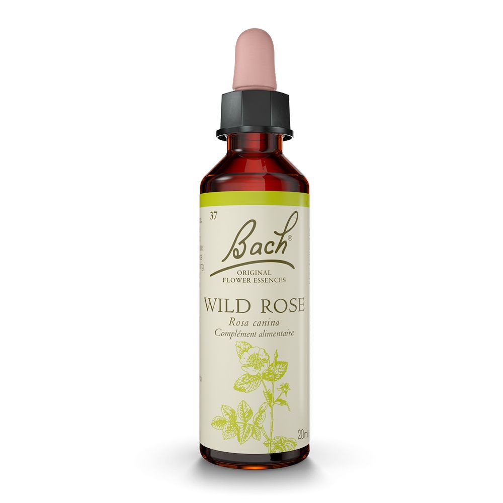 Fleurs de Bach® Original Wild Rose N° 37