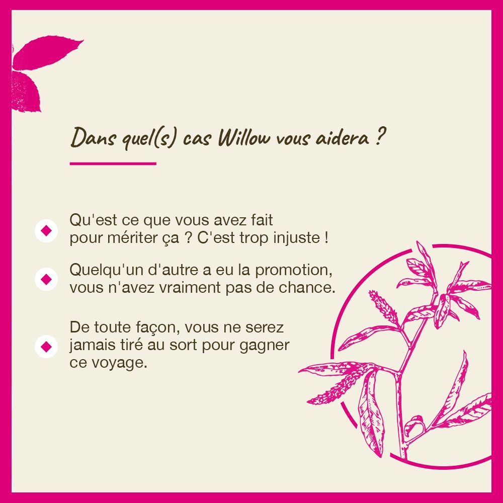 Rosa Hintergrund mit Text: In welchen Fällen hilft Willow? Text und Illustrationen. Bach Original Flower Essences.